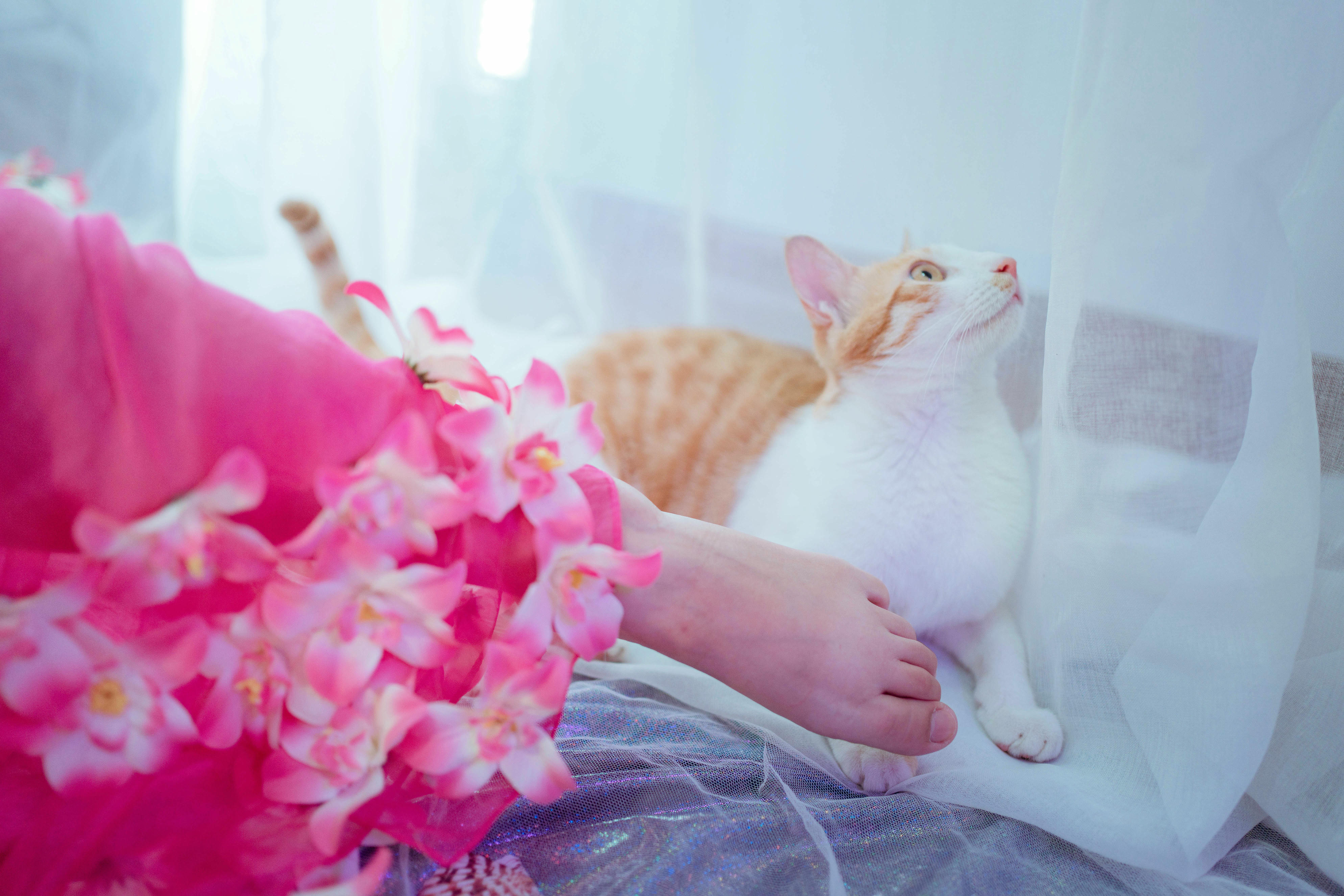 阿半今天很开心 NO.011 杀生学院 [25P-65MB]_第2集