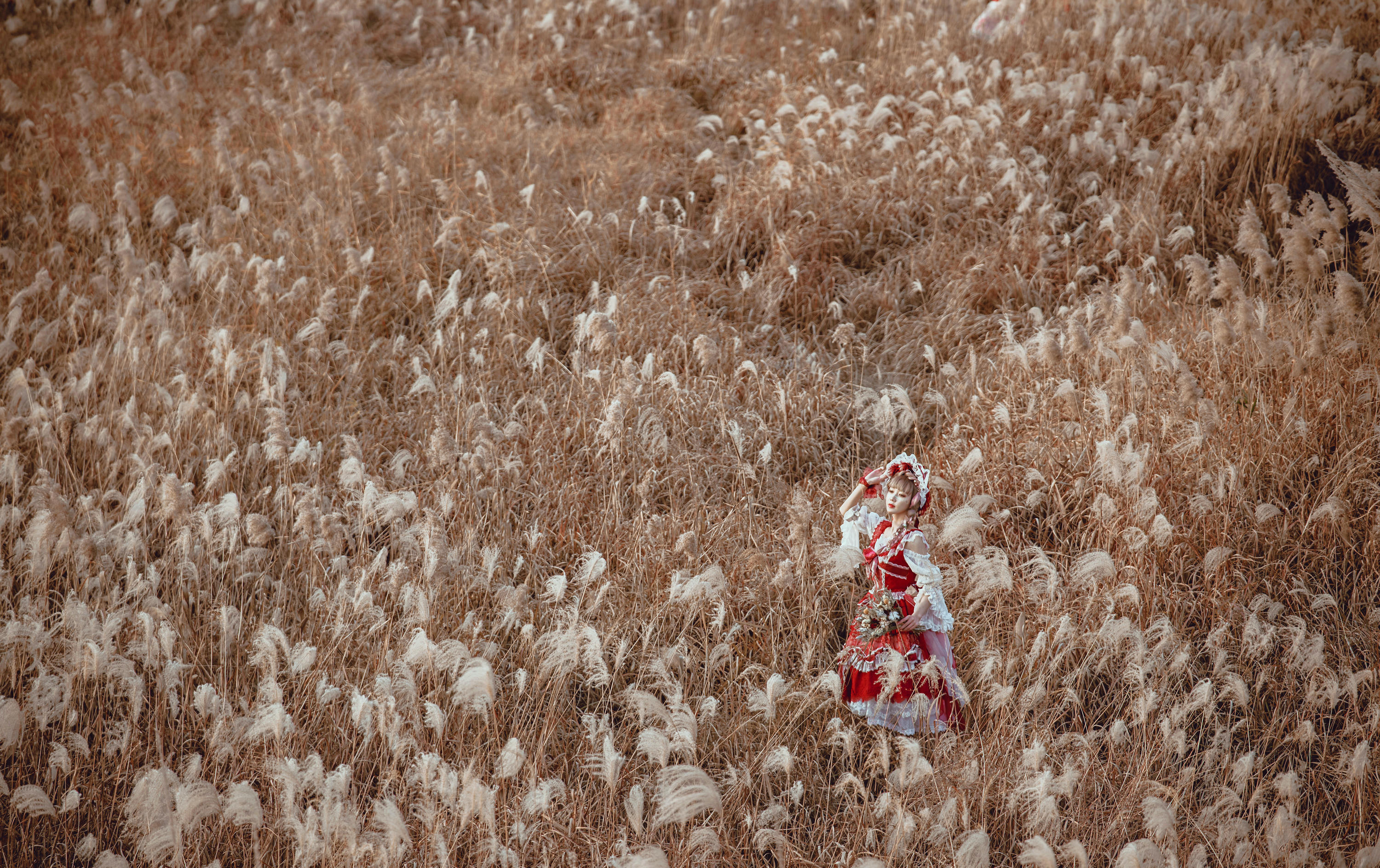 阿包也是兔娘 NO.002 lolita红裙 [12P-160MB]_第1集