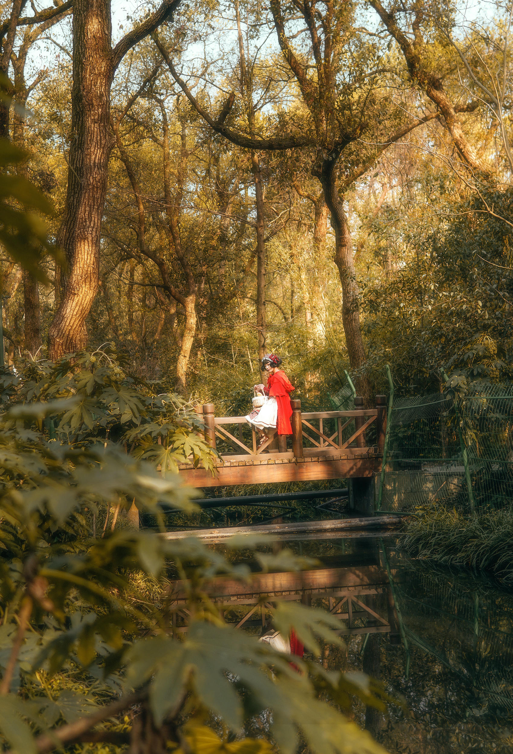 阿包也是兔娘 NO.003 lolita红裙2 [28P-357MB]_第1集