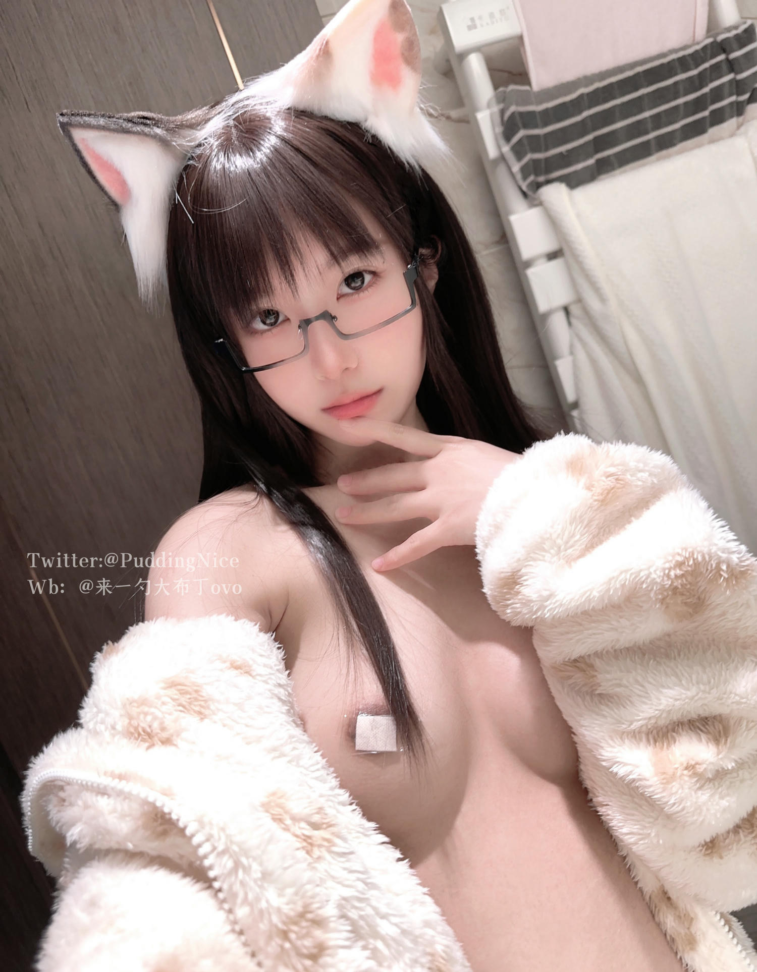 布丁大法 NO.046 VII 芝士猫 [40P2V 269MB]_第1集