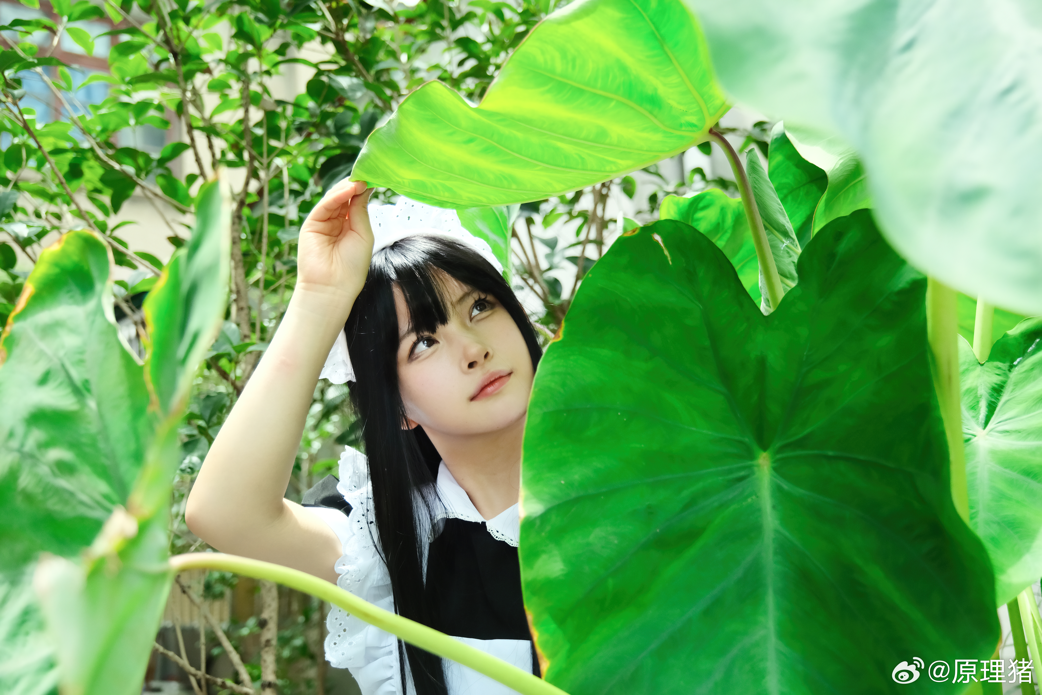 白莉爱吃巧克力 NO.019 原理猪 深巷女仆 [11P 487MB]_第1集