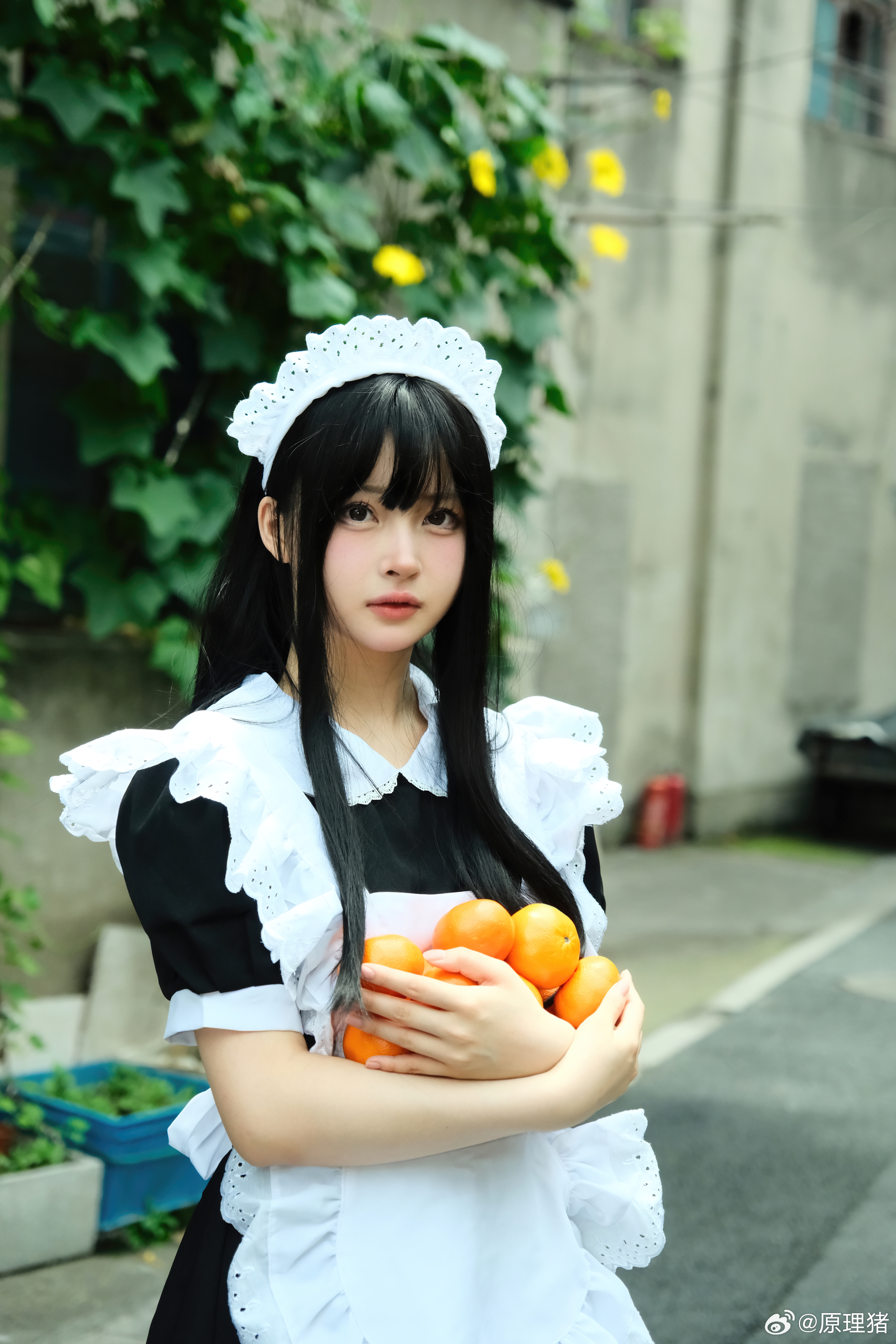 白莉爱吃巧克力 NO.019 原理猪 深巷女仆 [11P 487MB]_第1集