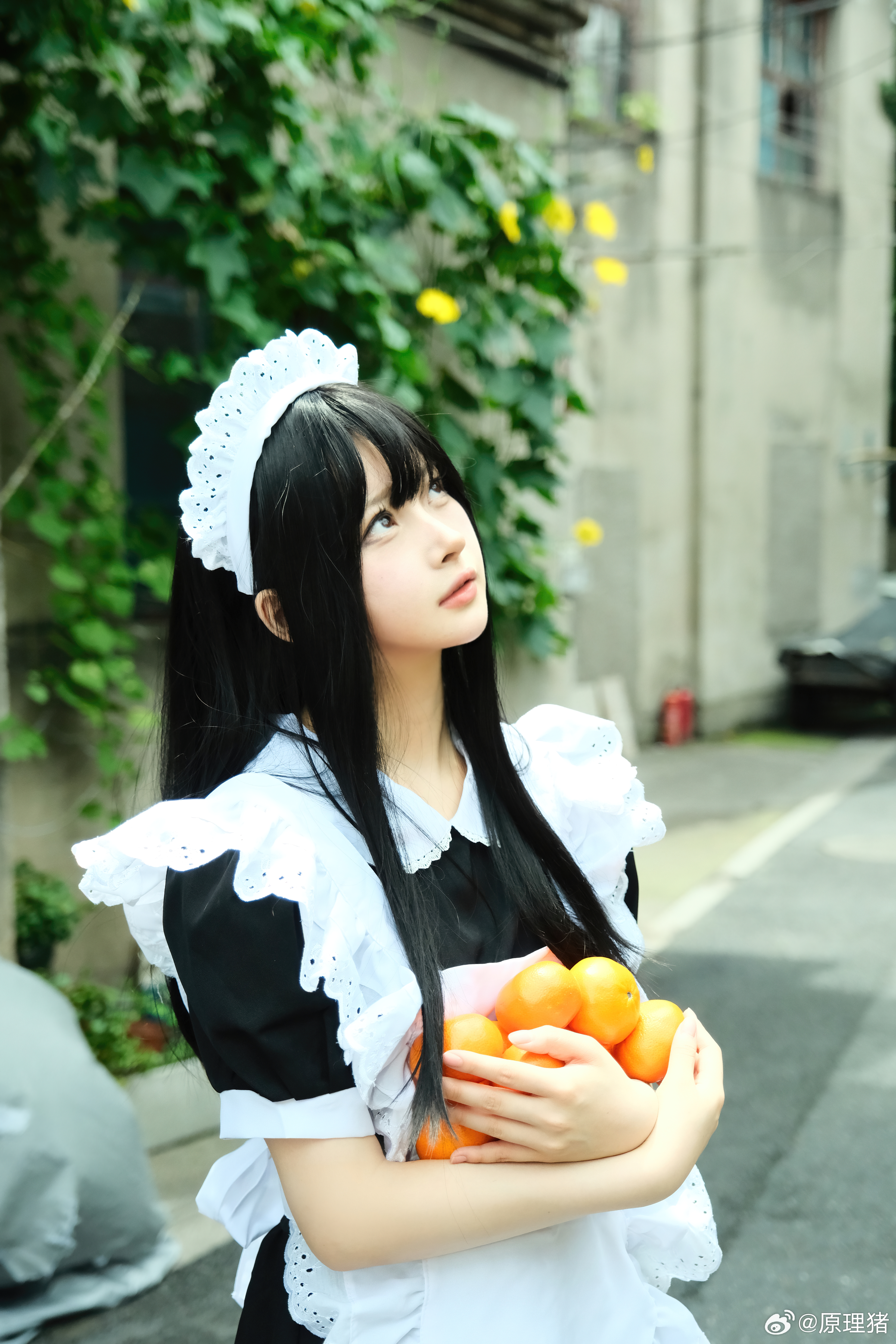 白莉爱吃巧克力 NO.019 原理猪 深巷女仆 [11P 487MB]_第1集