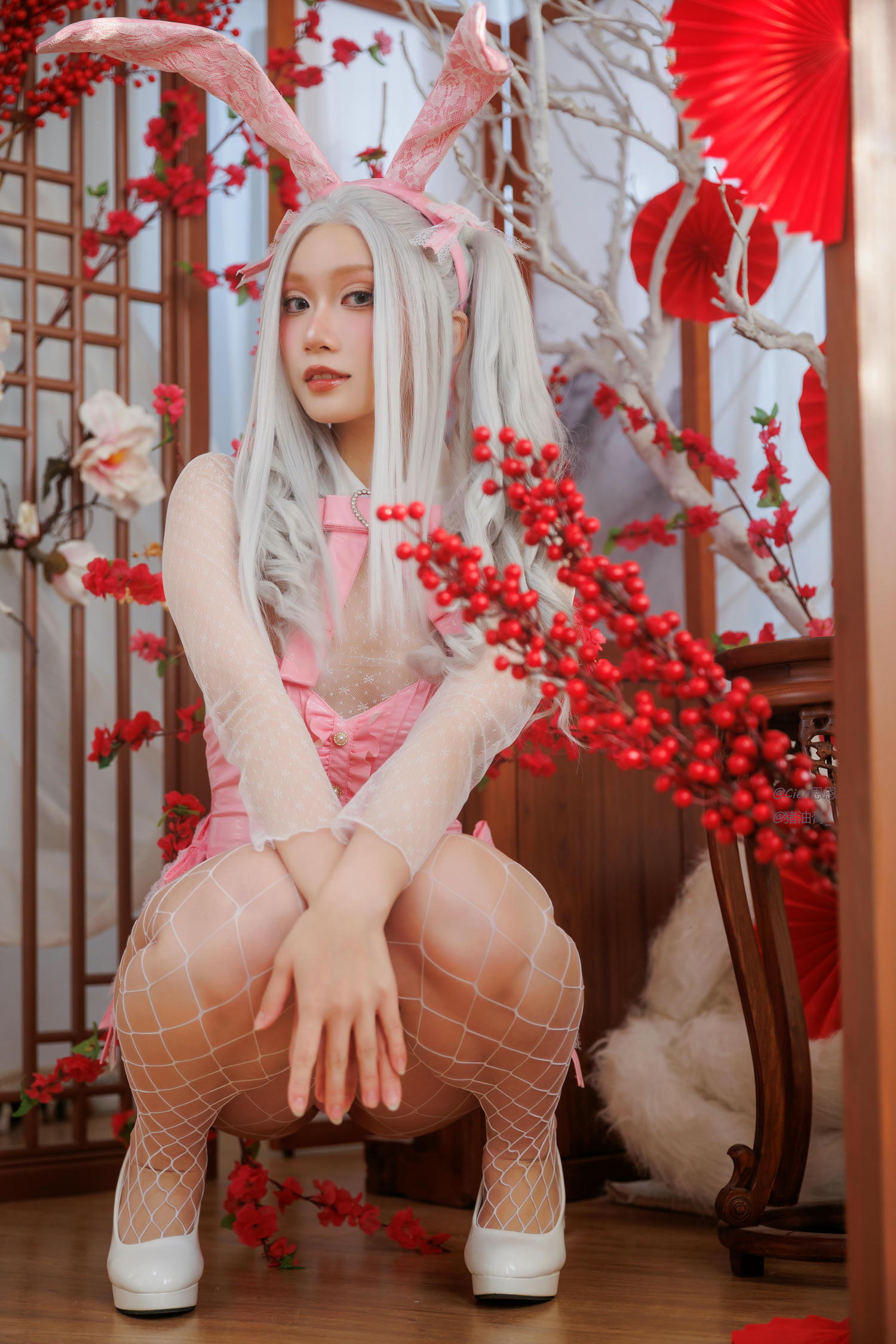 Cien恩恩 NO.007 兔年兔兔 [34P 193MB]_第2集