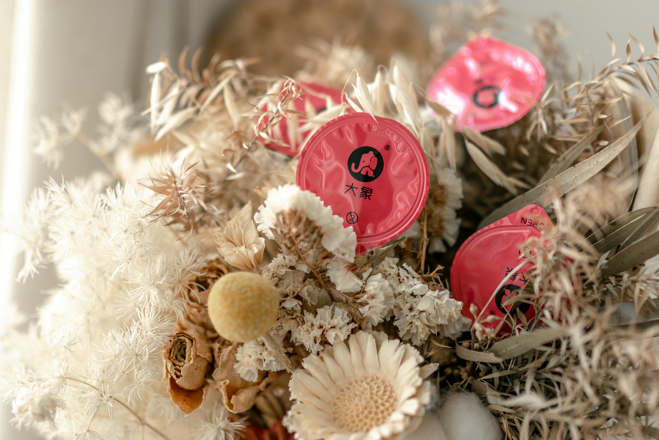 蠢沫沫 NO.100 白睡衣 [29P-271MB]_第2集