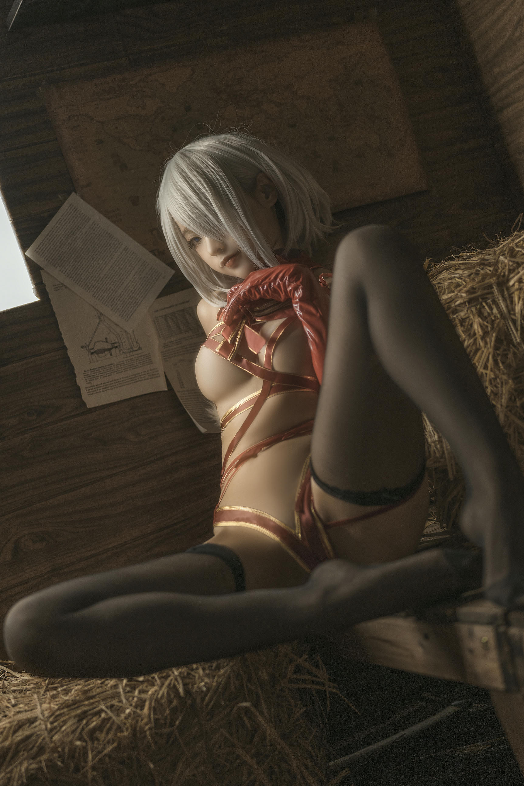 蠢沫沫 NO.146 2B 圣诞[70P 867MB]_第1集