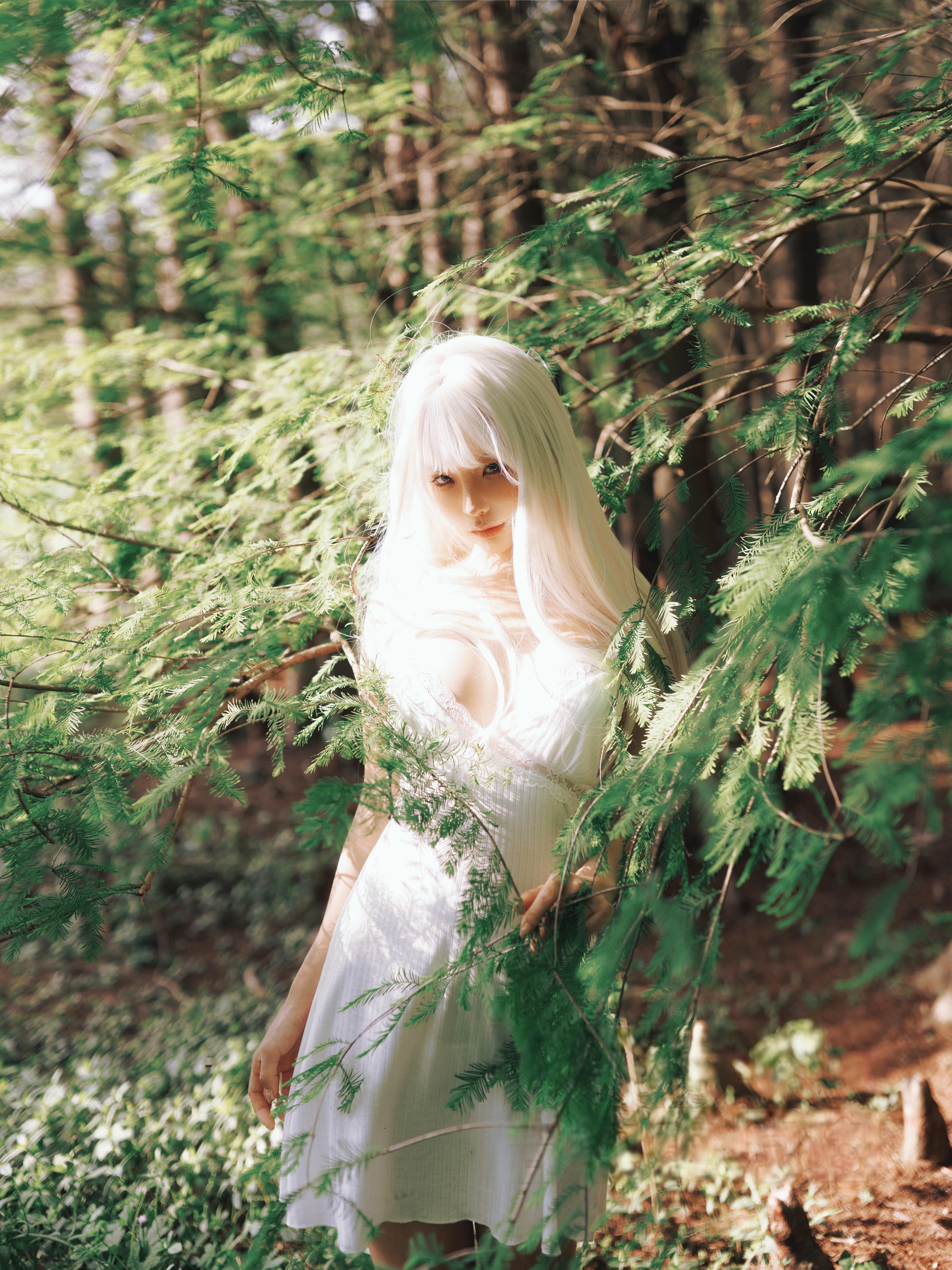 蠢沫沫 NO.342 2024年会员 绳+白发[16P-326.8M]_第1集