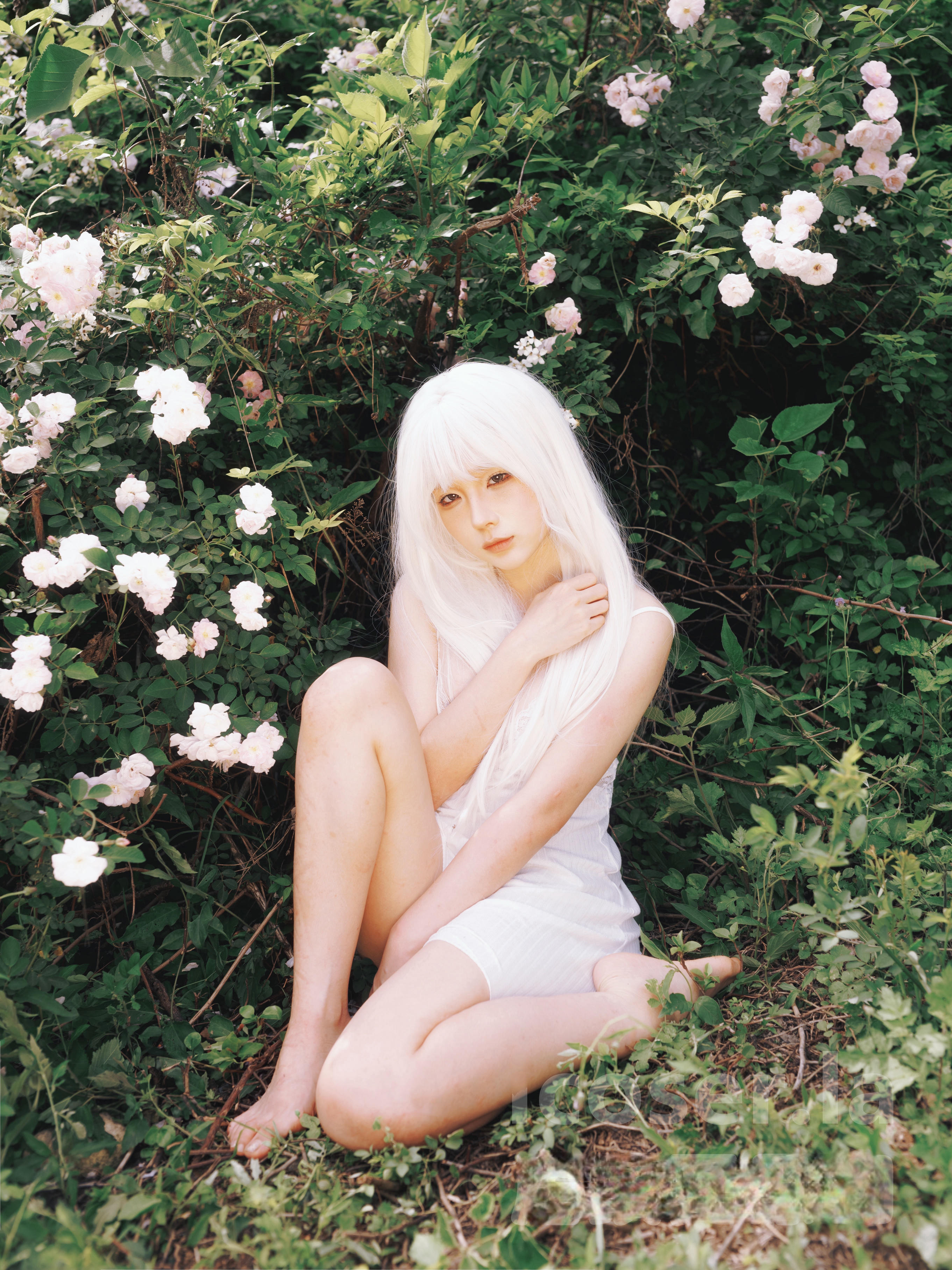 蠢沫沫 NO.342 2024年会员 绳+白发[16P-326.8M]_第1集