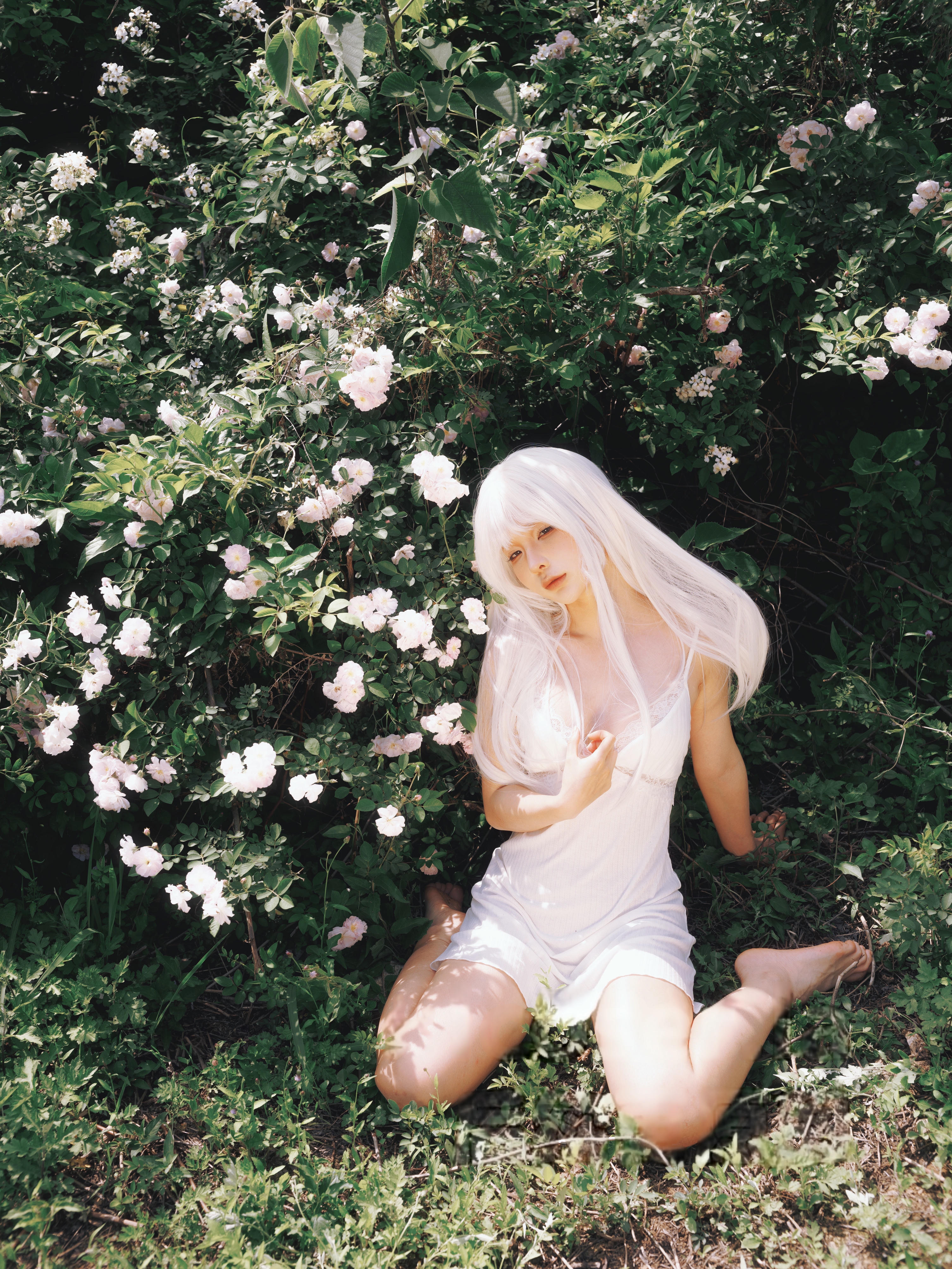 蠢沫沫 NO.342 2024年会员 绳+白发[16P-326.8M]_第1集