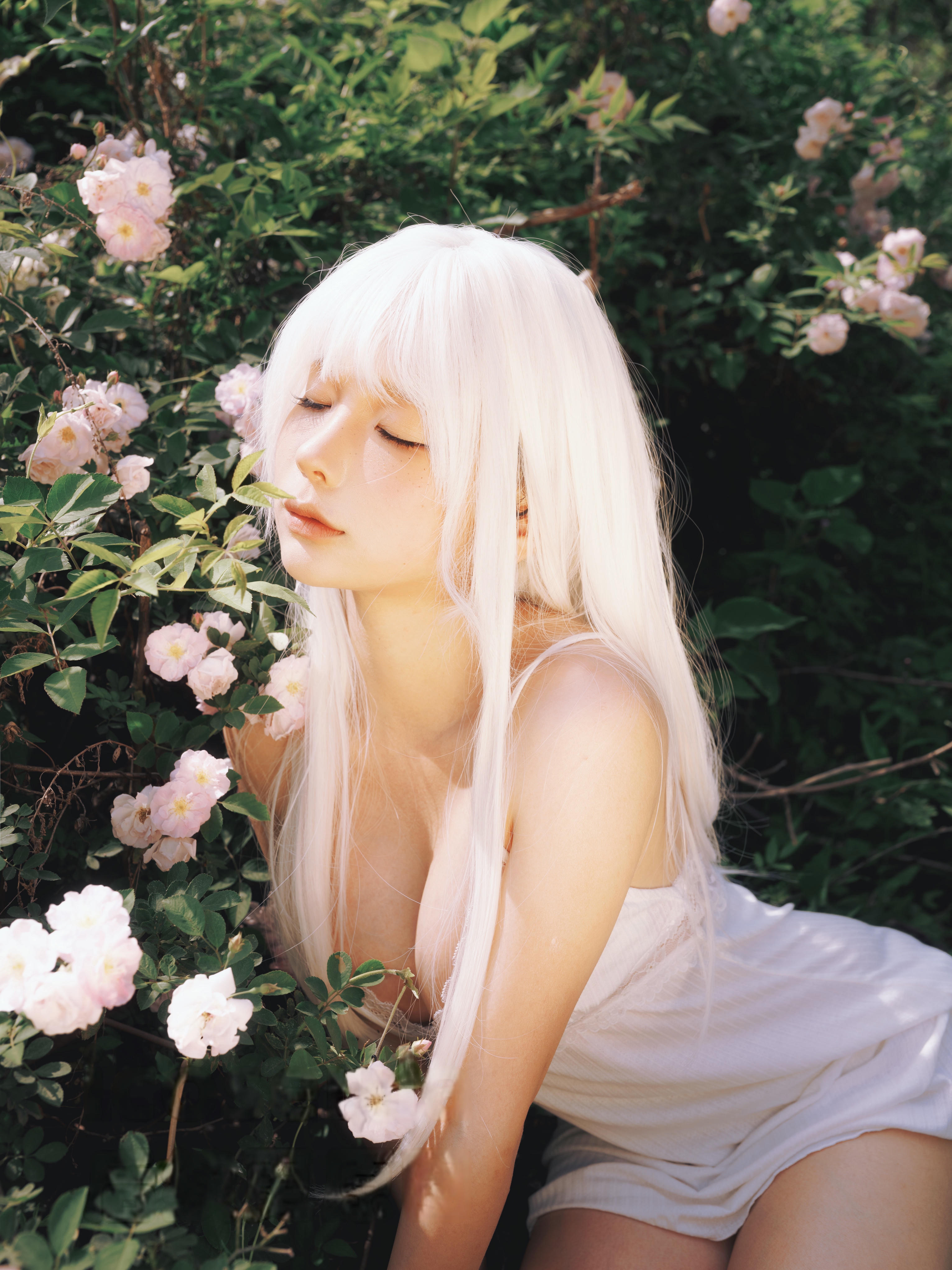 蠢沫沫 NO.342 2024年会员 绳+白发[16P-326.8M]_第1集