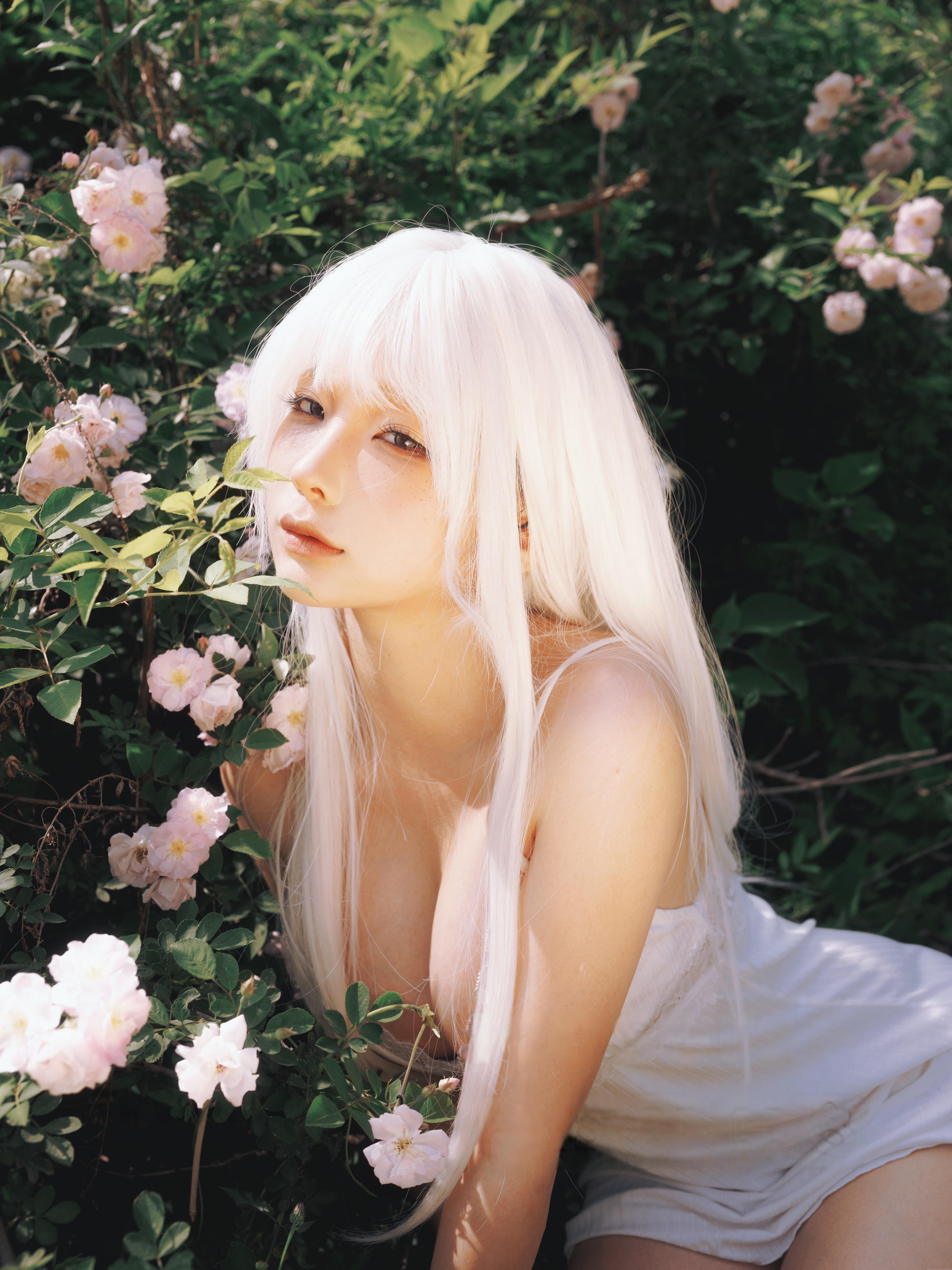 蠢沫沫 NO.342 2024年会员 绳+白发[16P-326.8M]_第1集