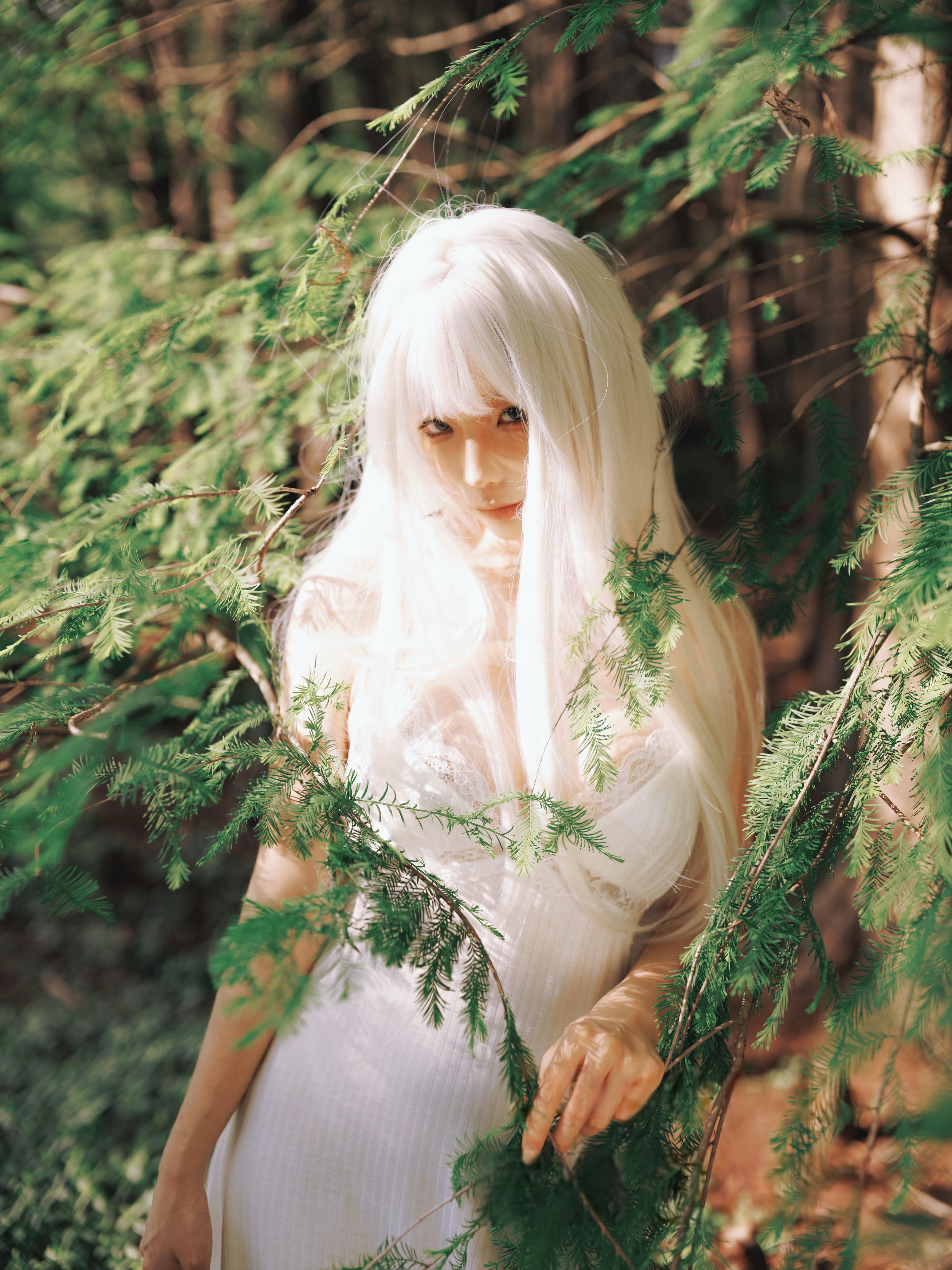 蠢沫沫 NO.342 2024年会员 绳+白发[16P-326.8M]_第1集