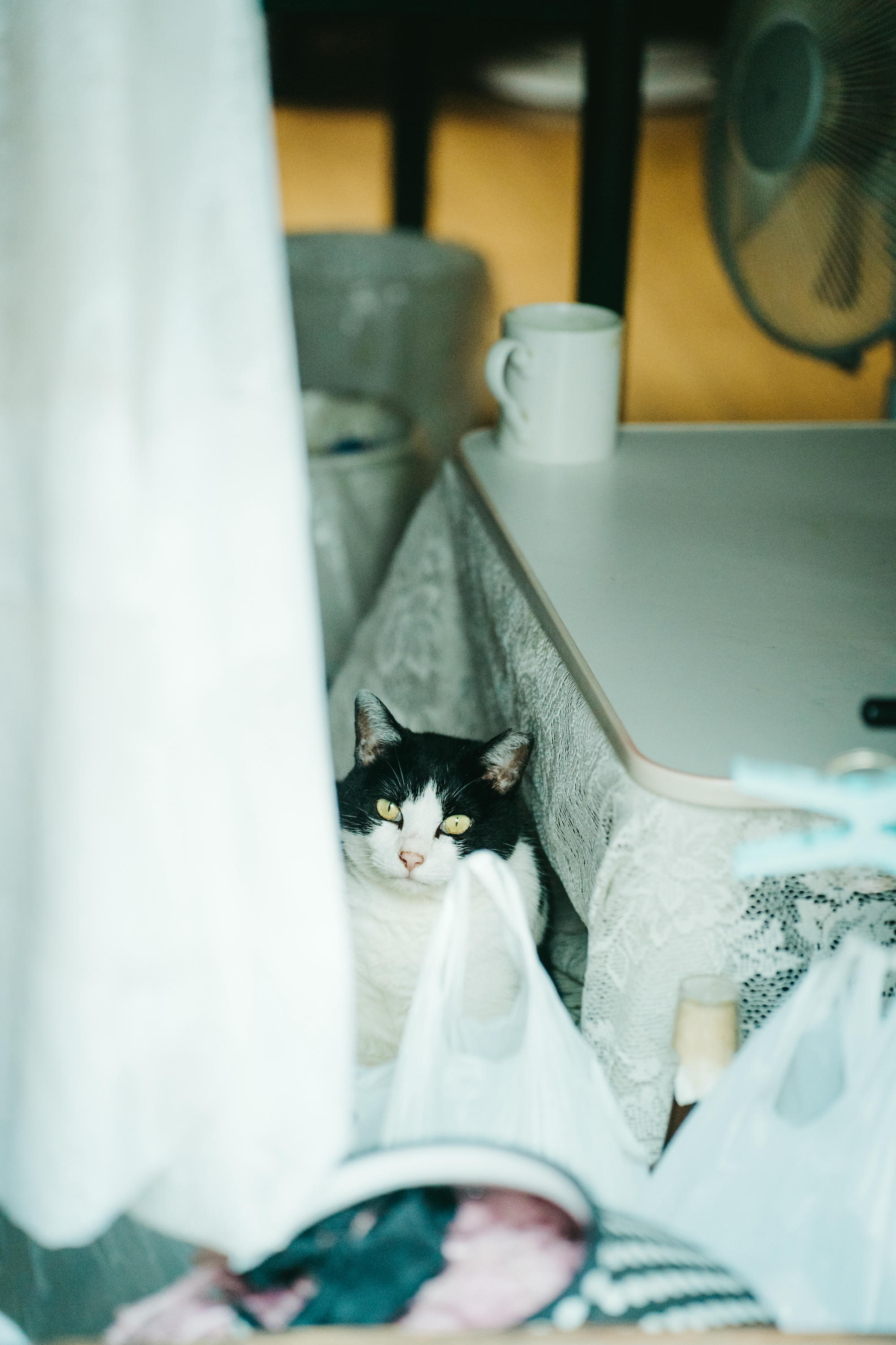 蠢沫沫 NO.361 夏想 下 [189P 1.19GB]_第8集