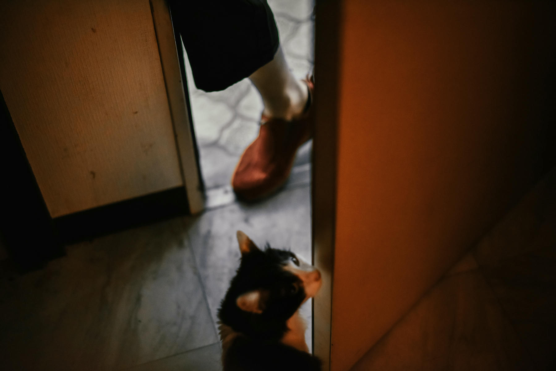 ElyEE子 NO.116 Power [28P-105MB]_第1集