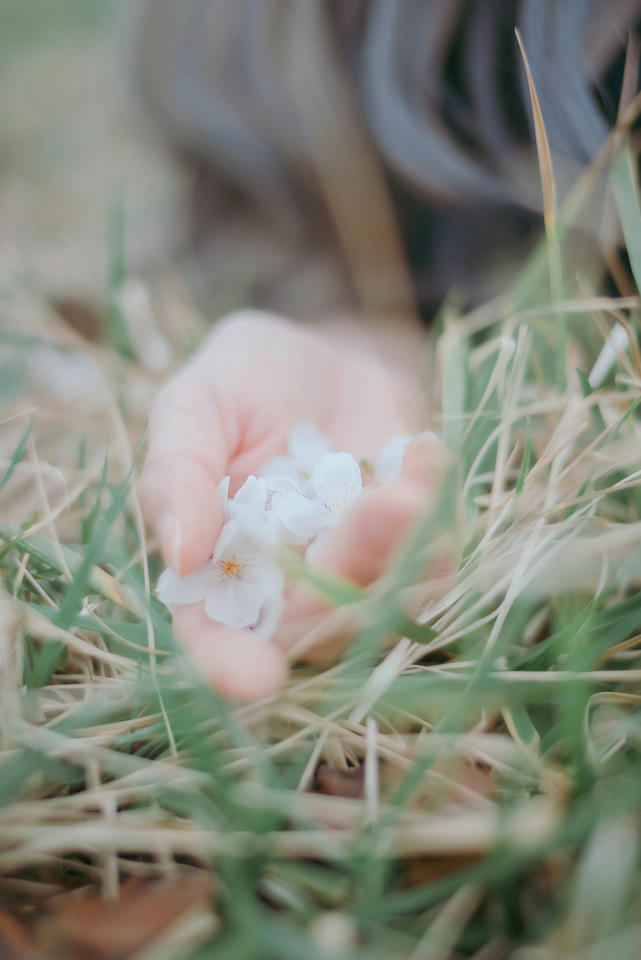 ElyEE子 NO.122 Sakura [64P-173M]_第1集