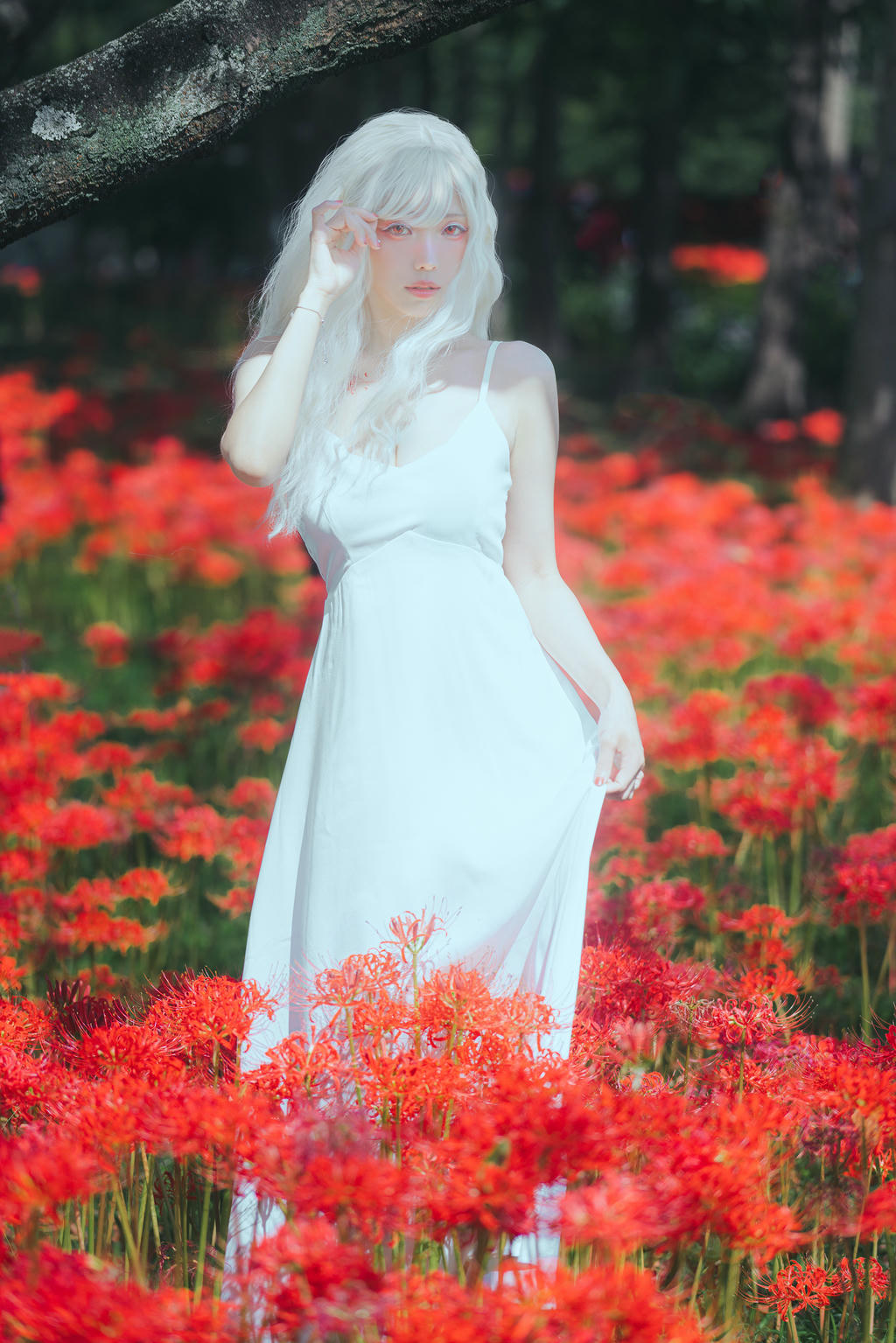 ElyEE子 NO.136 23年10月订阅 [86P2V-302MB]-B-White spider lily 白瓷彼岸 [27P-83MB]_第1集