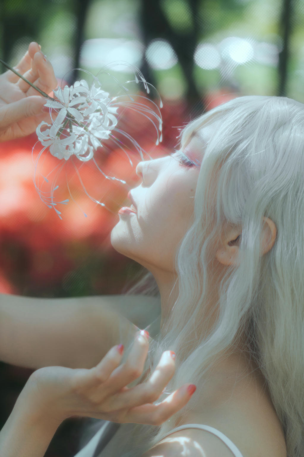 ElyEE子 NO.136 23年10月订阅 [86P2V-302MB]-B-White spider lily 白瓷彼岸 [27P-83MB]_第1集