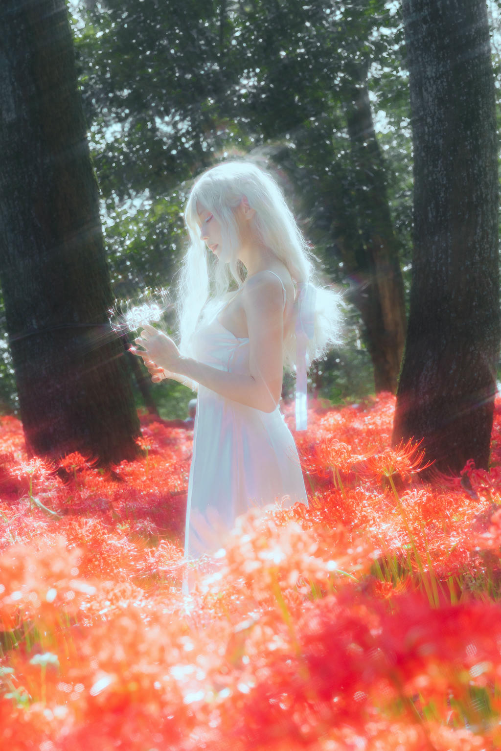 ElyEE子 NO.136 23年10月订阅 [86P2V-302MB]-B-White spider lily 白瓷彼岸 [27P-83MB]_第1集