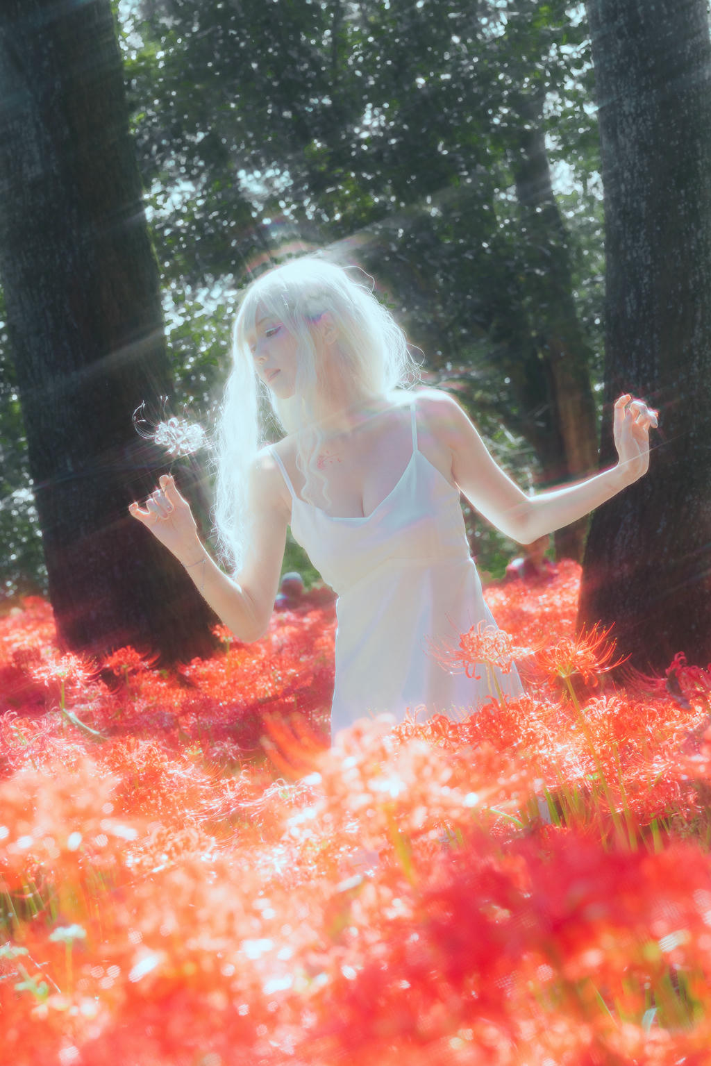 ElyEE子 NO.136 23年10月订阅 [86P2V-302MB]-B-White spider lily 白瓷彼岸 [27P-83MB]_第1集