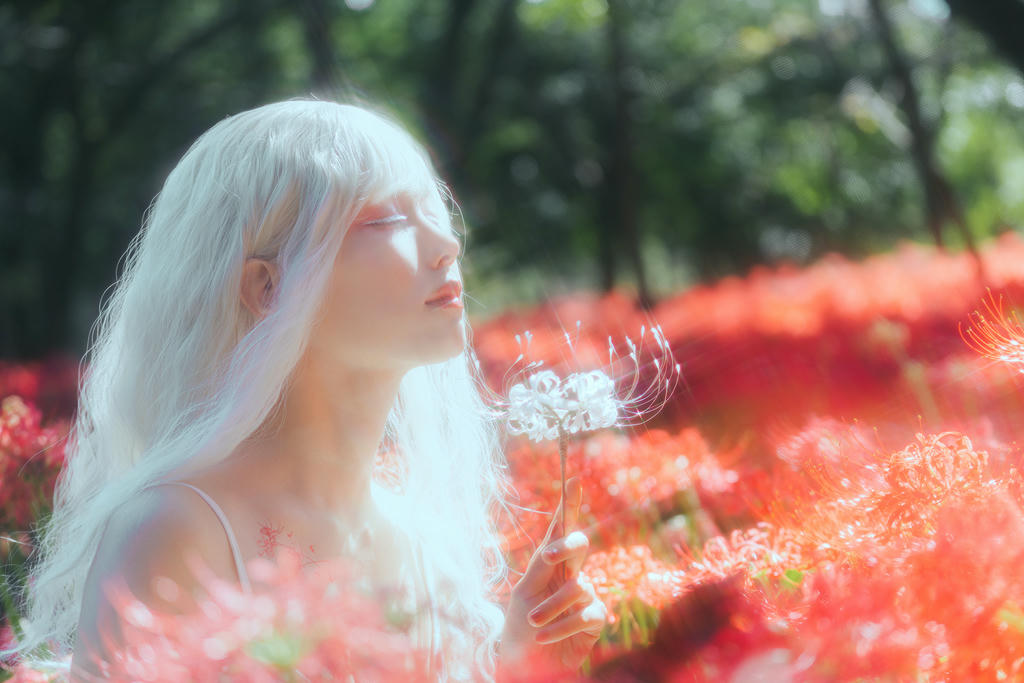 ElyEE子 NO.136 23年10月订阅 [86P2V-302MB]-B-White spider lily 白瓷彼岸 [27P-83MB]_第1集