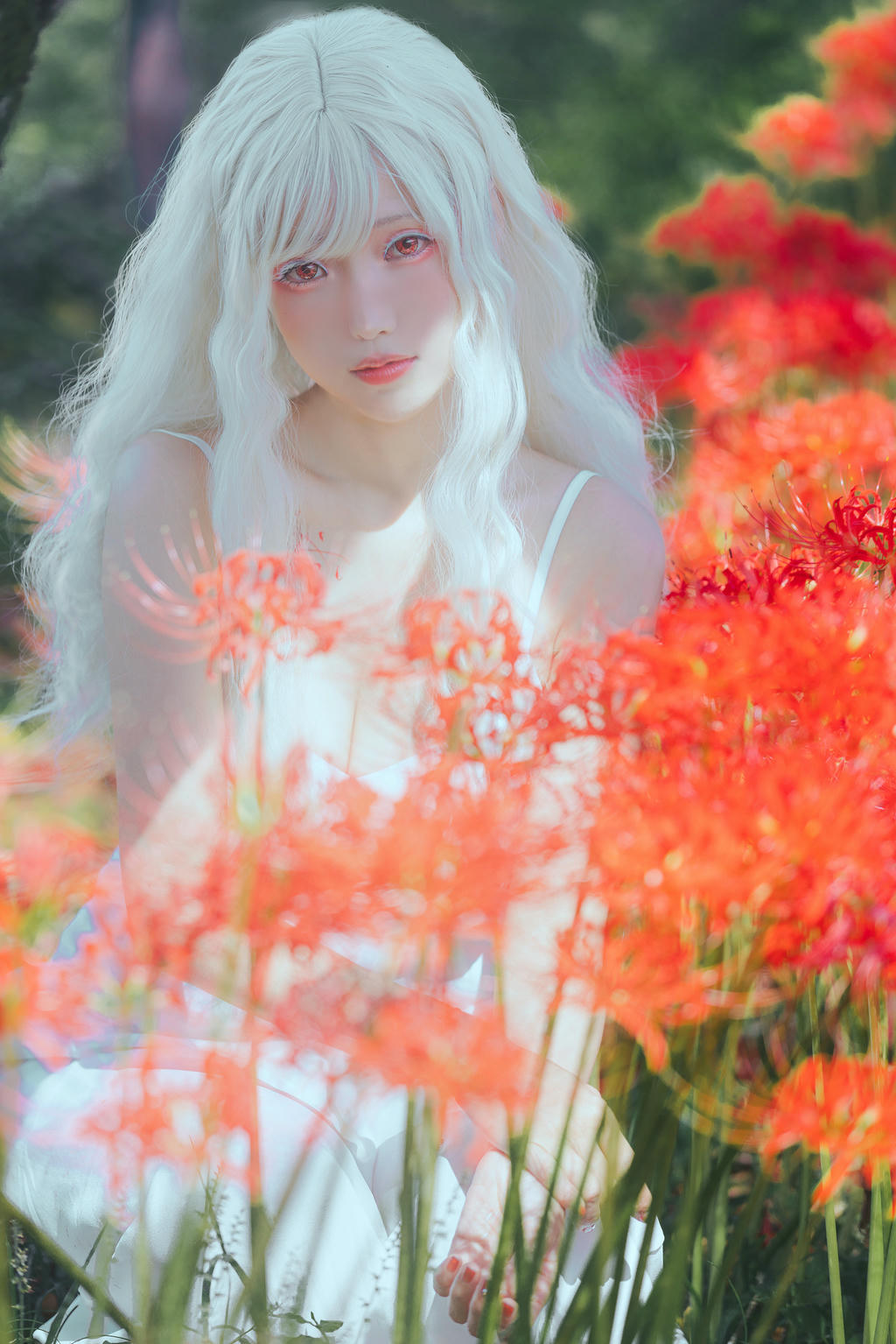 ElyEE子 NO.136 23年10月订阅 [86P2V-302MB]-B-White spider lily 白瓷彼岸 [27P-83MB]_第1集