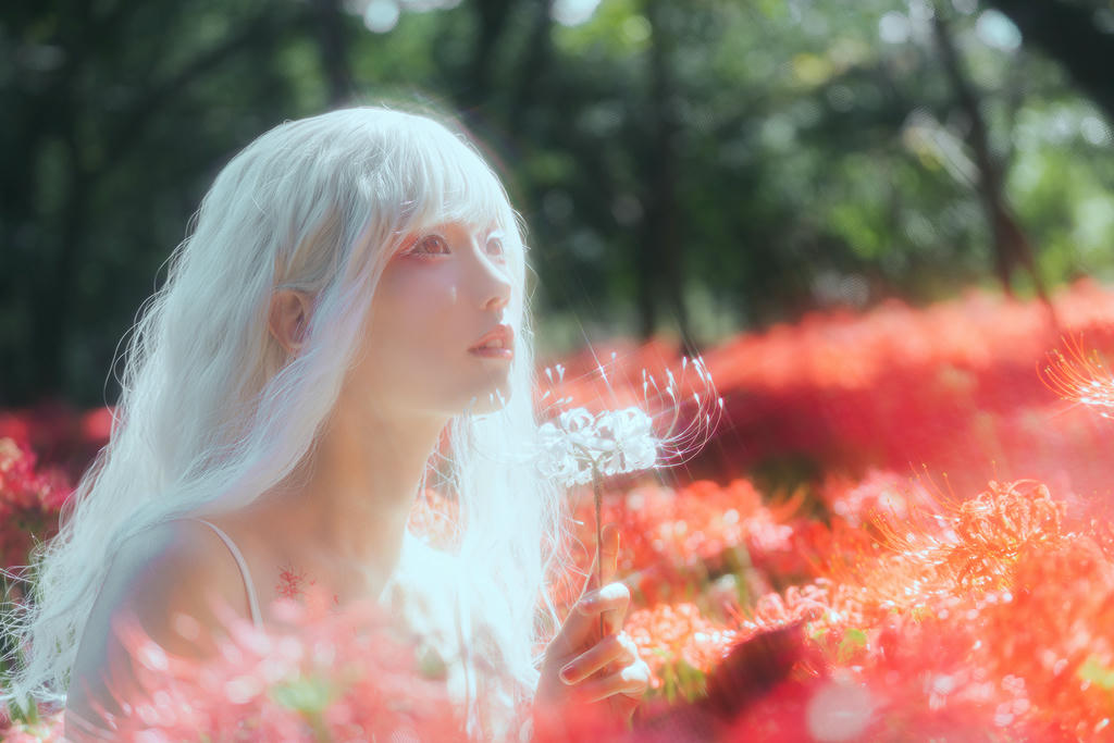 ElyEE子 NO.136 23年10月订阅 [86P2V-302MB]-B-White spider lily 白瓷彼岸 [27P-83MB]_第1集