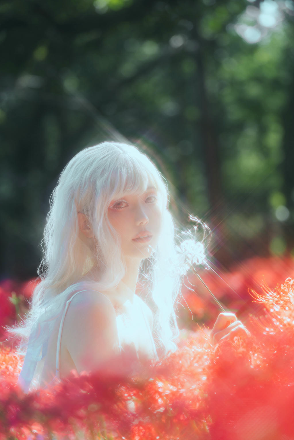 ElyEE子 NO.136 23年10月订阅 [86P2V-302MB]-B-White spider lily 白瓷彼岸 [27P-83MB]_第2集