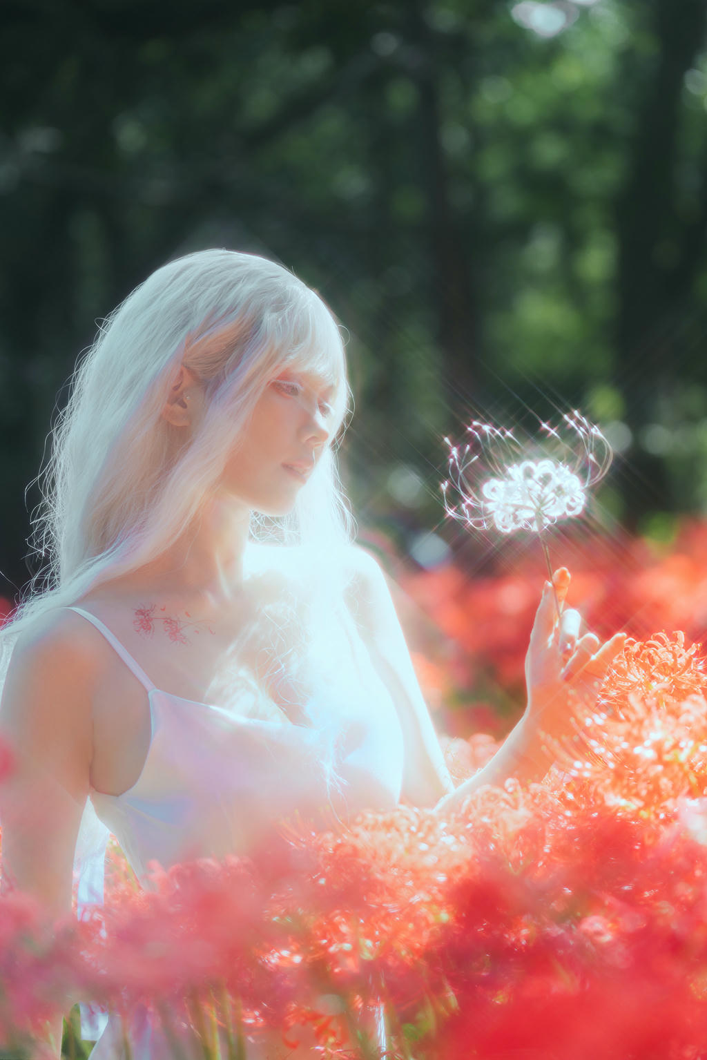 ElyEE子 NO.136 23年10月订阅 [86P2V-302MB]-B-White spider lily 白瓷彼岸 [27P-83MB]_第2集