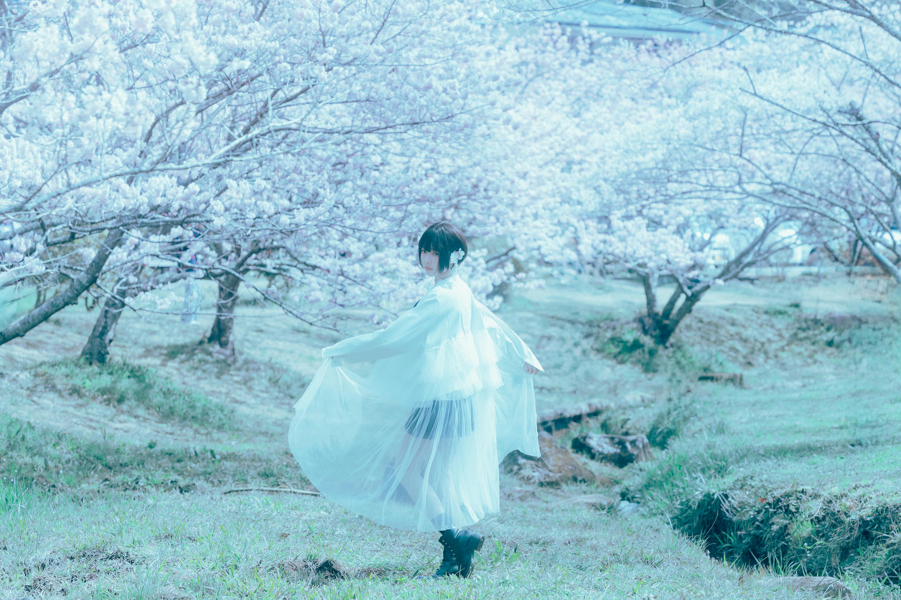 ElyEE子 NO.143 April-Tier 3 [113P5V 424MB]-A.17°C Pink Sakura17°C粉櫻_第2集