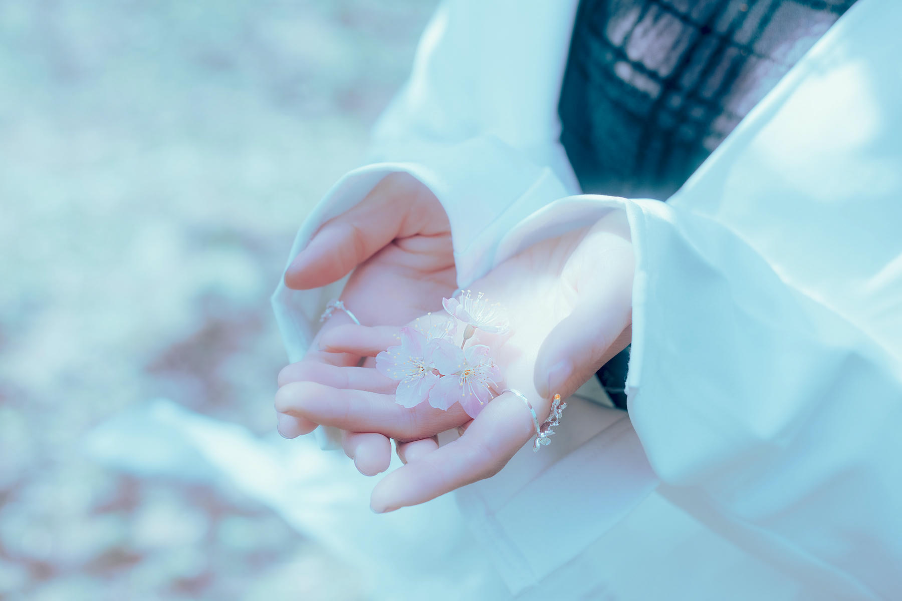 ElyEE子 NO.143 April-Tier 3 [113P5V 424MB]-A.17°C Pink Sakura17°C粉櫻_第3集