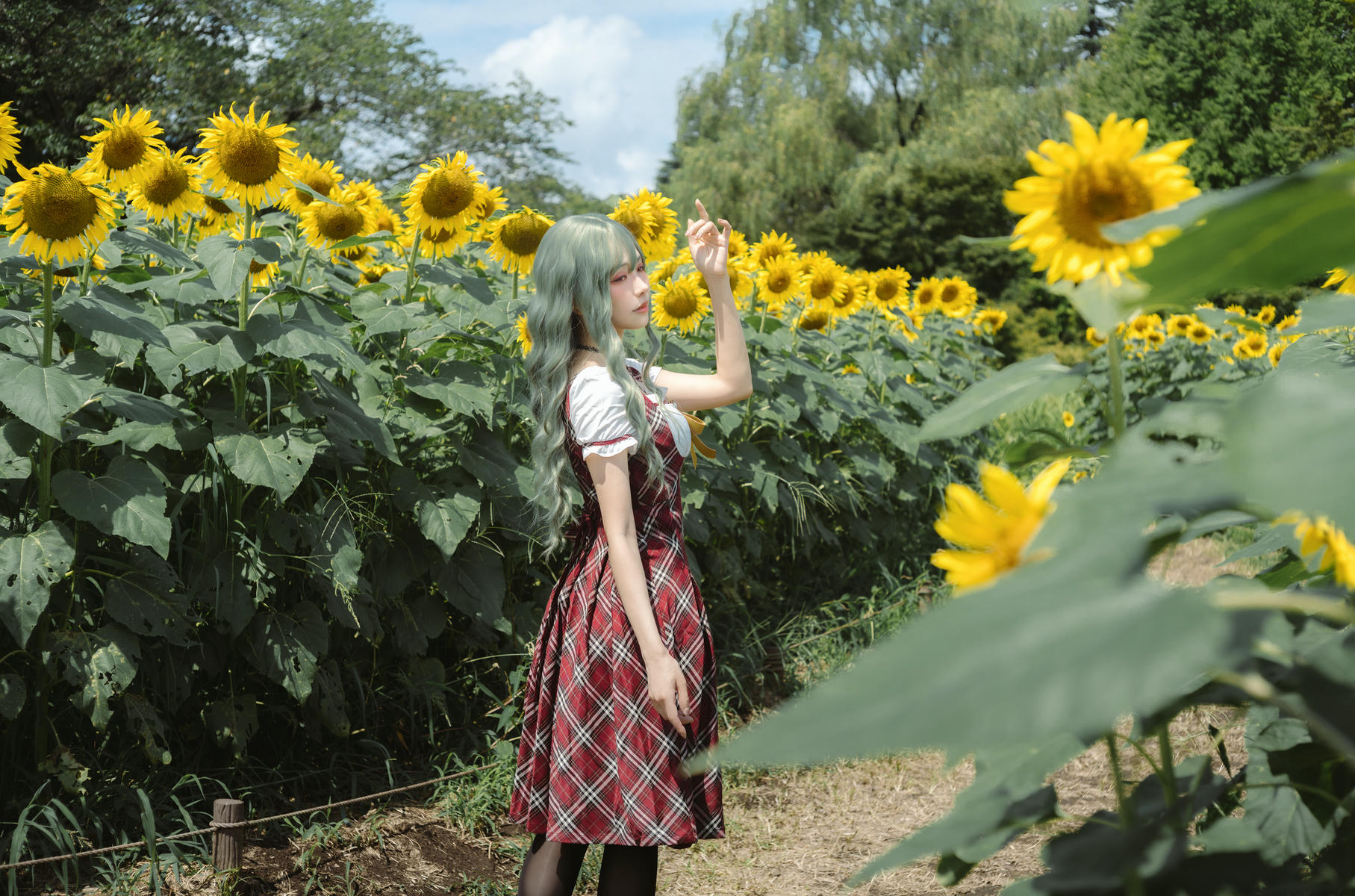 ElyEE子 NO.155 2024.September-Tier 4 [114P5V 486MB]-Kazami Yuuka ~ 幽香花海_第1集