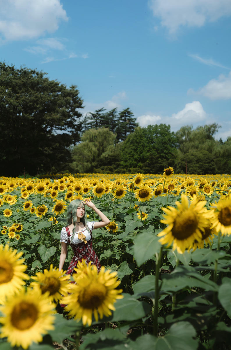 ElyEE子 NO.155 2024.September-Tier 4 [114P5V 486MB]-Kazami Yuuka ~ 幽香花海_第1集
