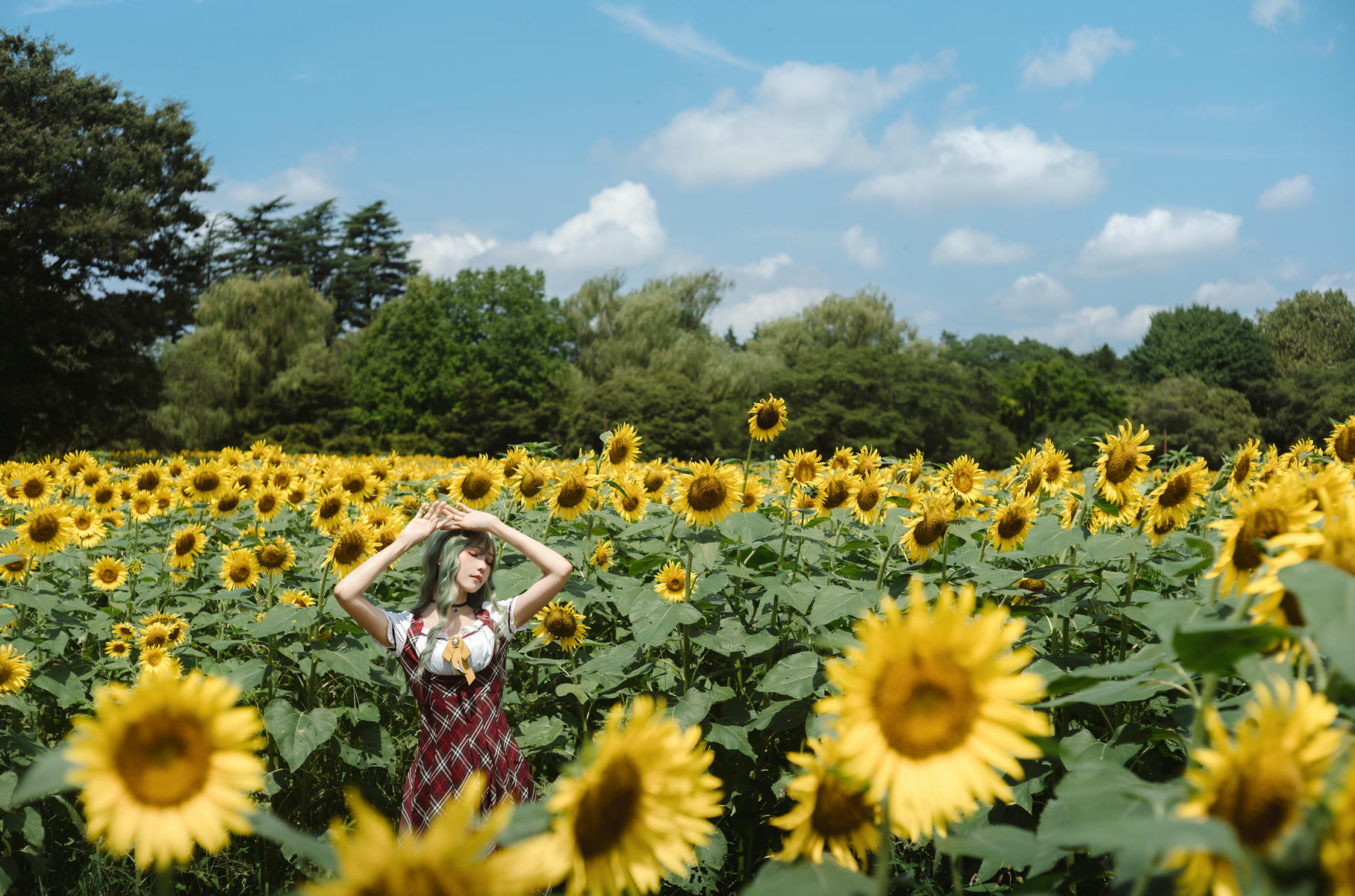 ElyEE子 NO.155 2024.September-Tier 4 [114P5V 486MB]-Kazami Yuuka ~ 幽香花海_第1集