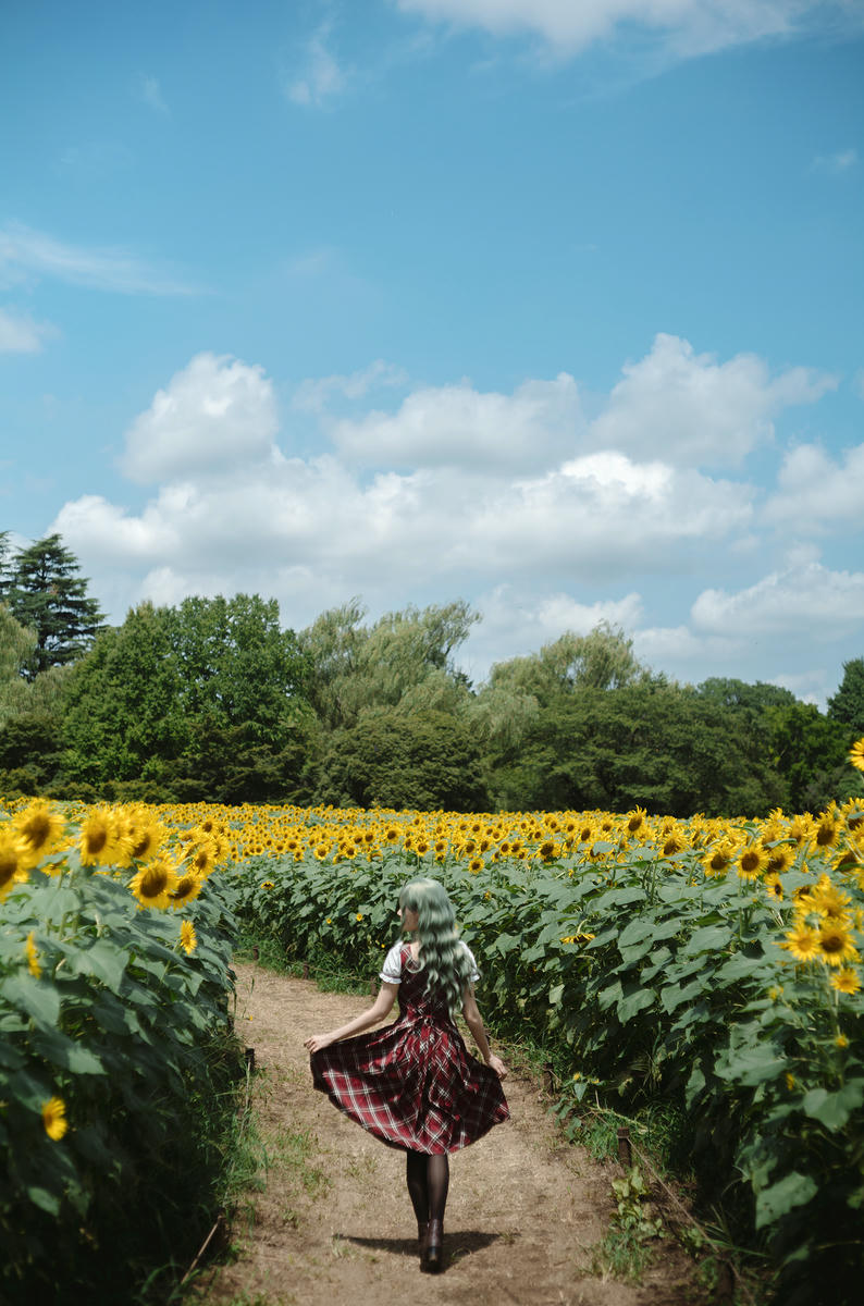ElyEE子 NO.155 2024.September-Tier 4 [114P5V 486MB]-Kazami Yuuka ~ 幽香花海_第1集