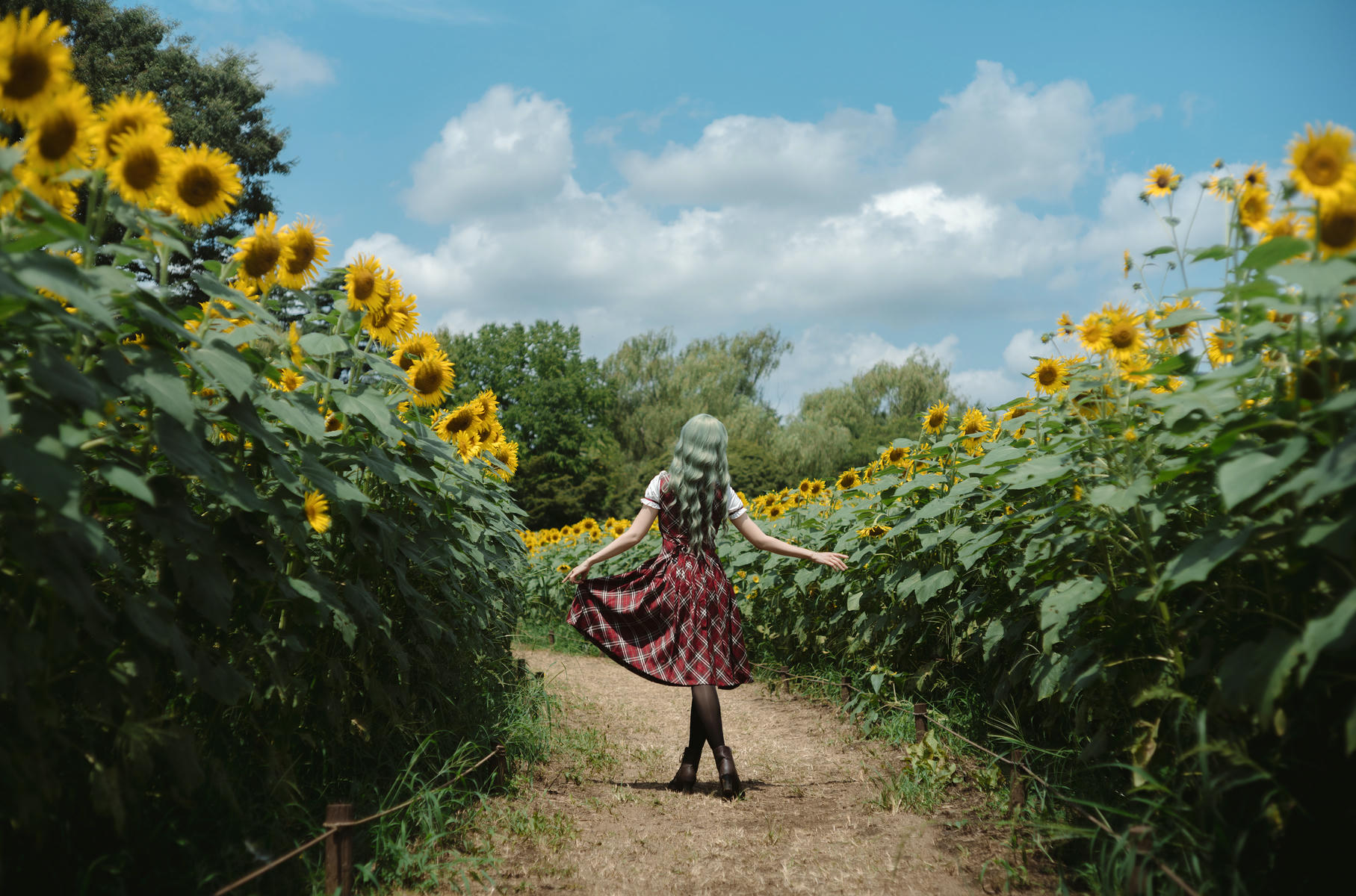 ElyEE子 NO.155 2024.September-Tier 4 [114P5V 486MB]-Kazami Yuuka ~ 幽香花海_第2集