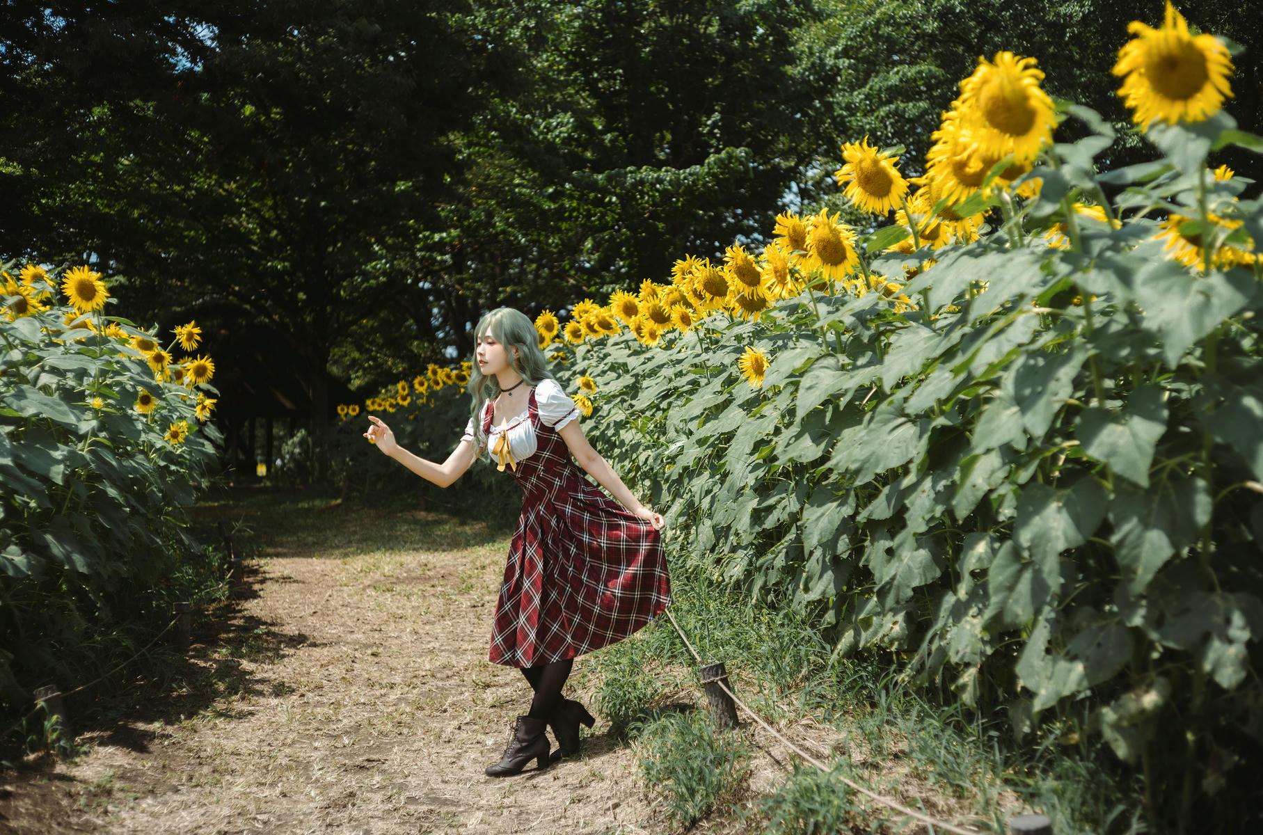 ElyEE子 NO.155 2024.September-Tier 4 [114P5V 486MB]-Kazami Yuuka ~ 幽香花海_第1集