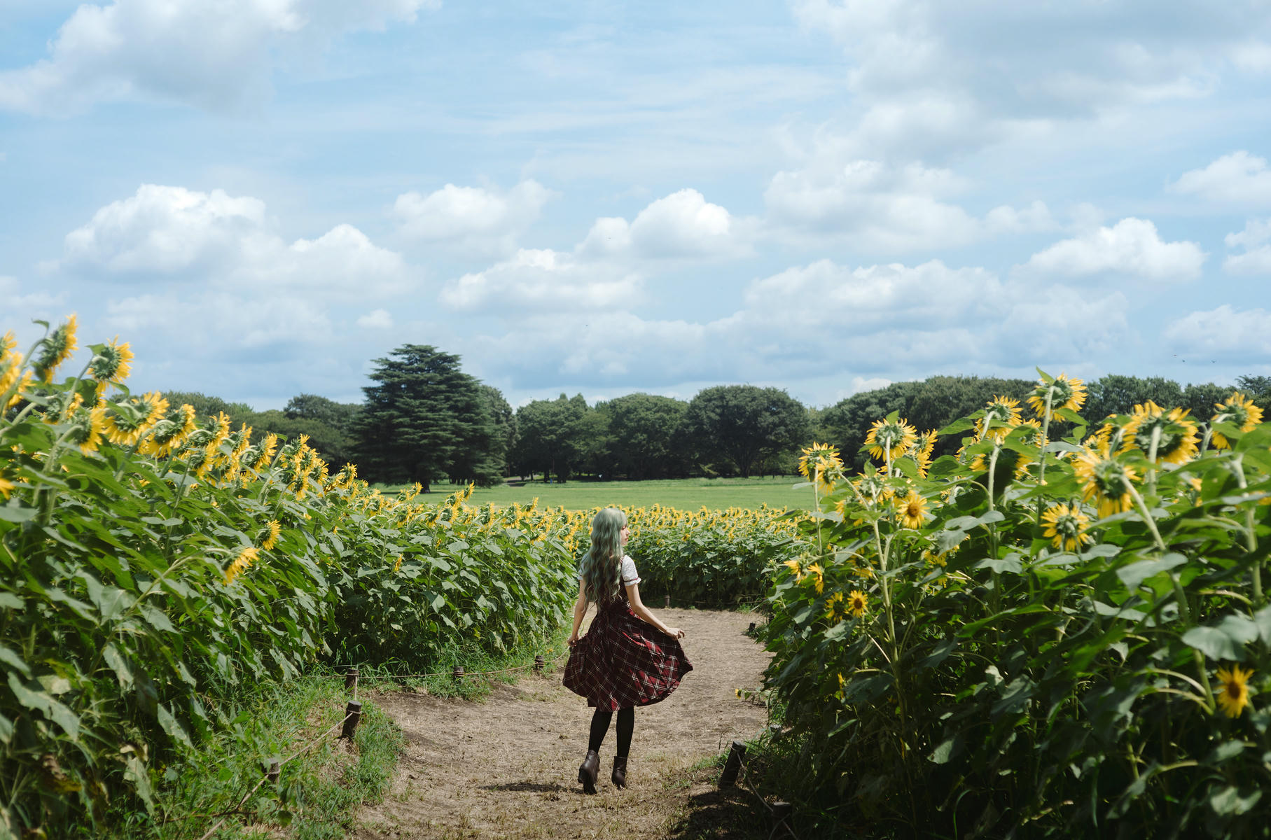 ElyEE子 NO.155 2024.September-Tier 4 [114P5V 486MB]-Kazami Yuuka ~ 幽香花海_第1集