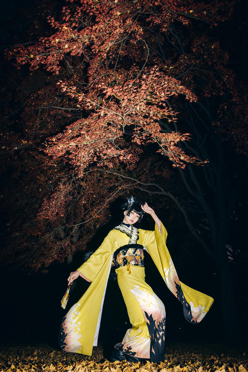 ElyEE子 NO.159 2024.November-Tier 4 [70P12V 300MB]-Ginkgo Black Cat銀杏黑貓_第1集