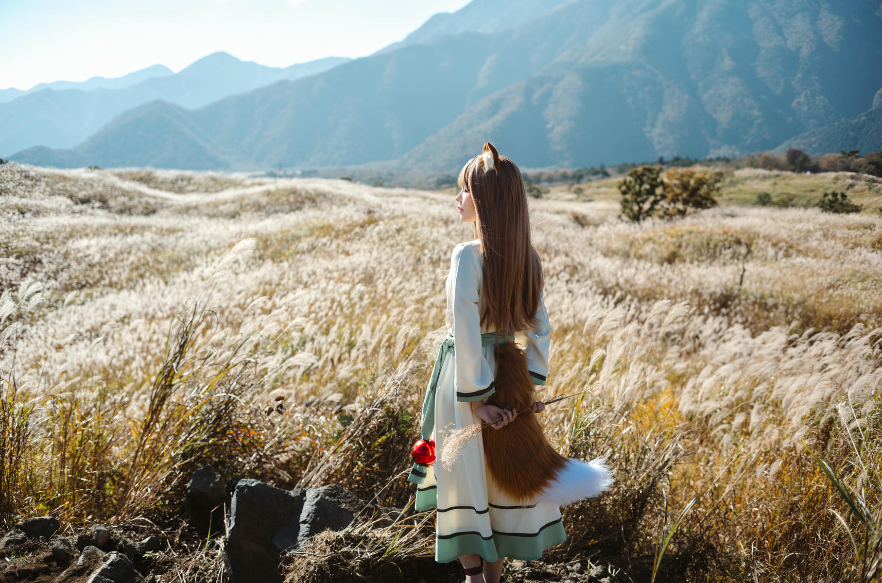 ElyEE子 NO.160 2024年12月订阅 (3套)[129P7V 552M]-A-Breeze狼與微風 [34P 3V]_第2集