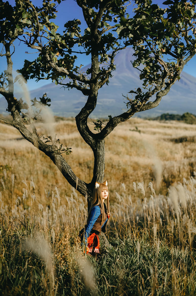 ElyEE子 NO.160 2024年12月订阅 (3套)[129P7V 552M]-B-Soft Glow狼與暖陽 [52P 1V]_第1集