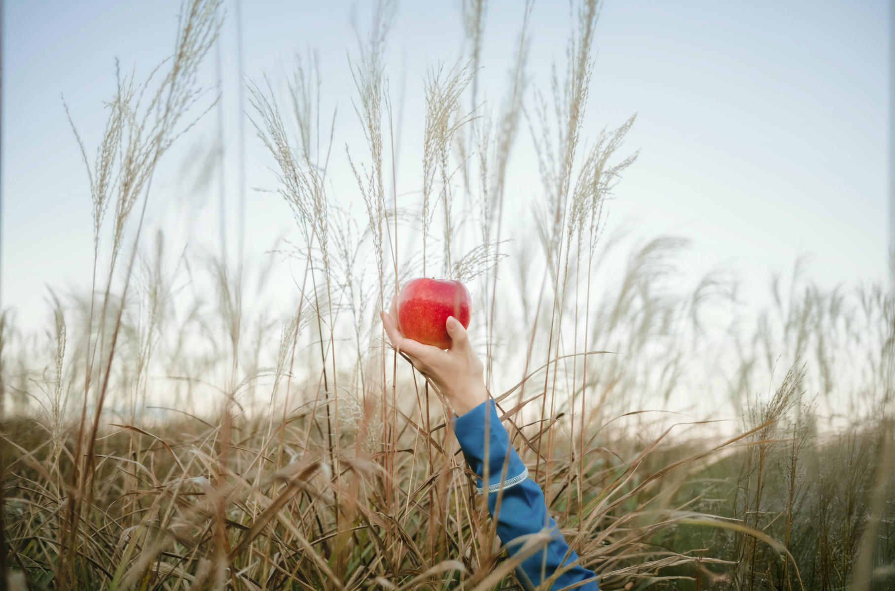 ElyEE子 NO.160 2024年12月订阅 (3套)[129P7V 552M]-B-Soft Glow狼與暖陽 [52P 1V]_第3集