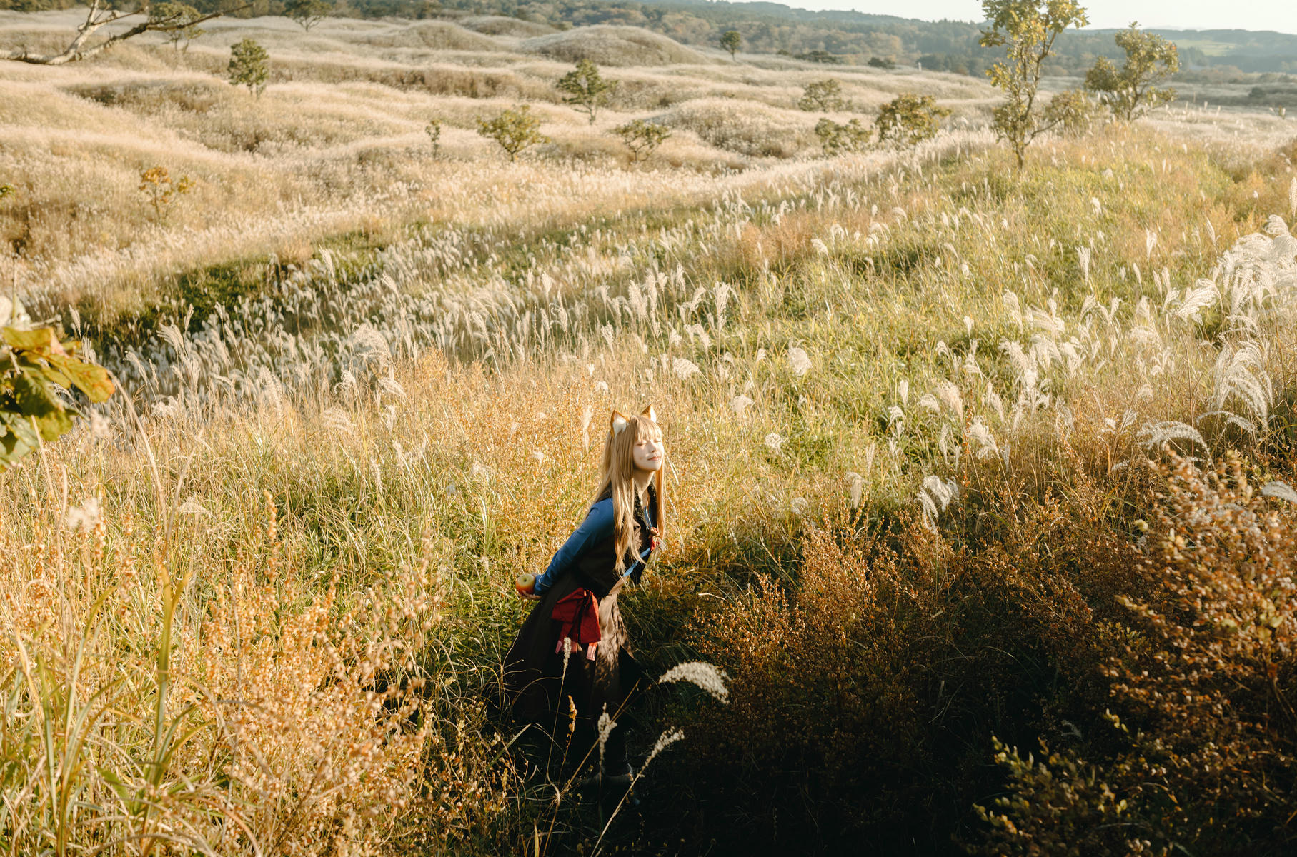 ElyEE子 NO.160 2024年12月订阅 (3套)[129P7V 552M]-B-Soft Glow狼與暖陽 [52P 1V]_第1集