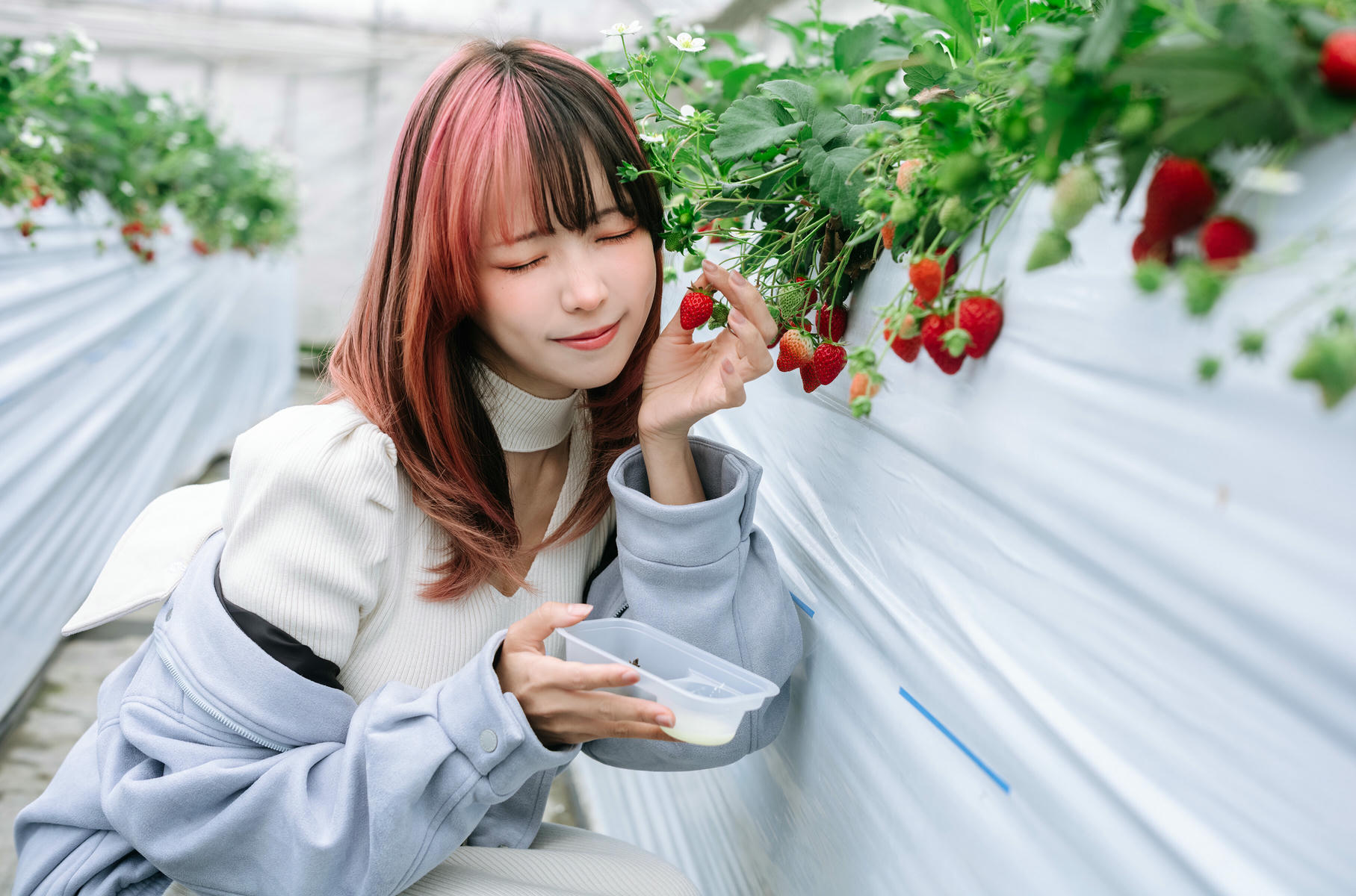 ElyEE子 NO.165 Strawberry Picking Date [34P2V 128MB]_第1集