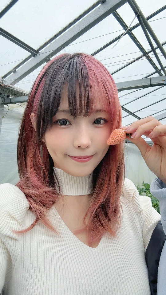 ElyEE子 NO.165 Strawberry Picking Date [34P2V 128MB]_第1集