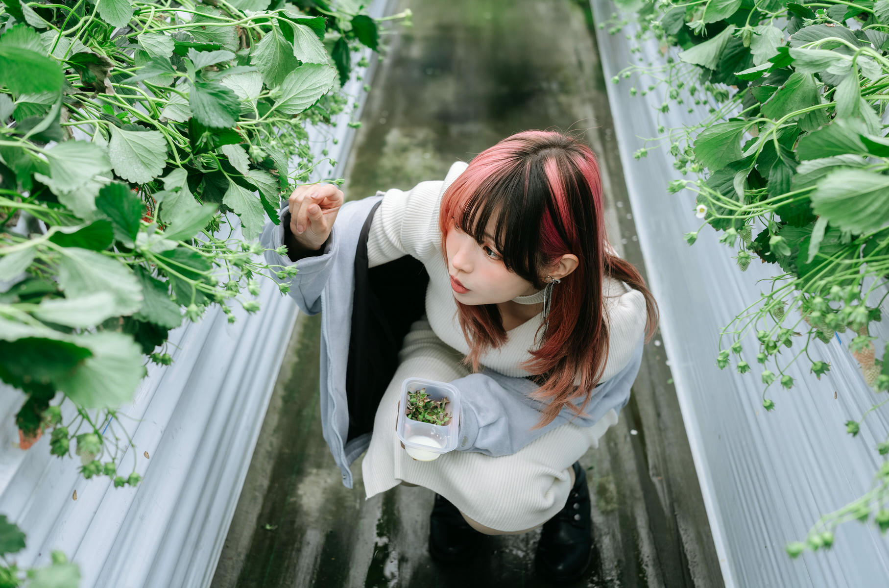 ElyEE子 NO.165 Strawberry Picking Date [34P2V 128MB]_第1集