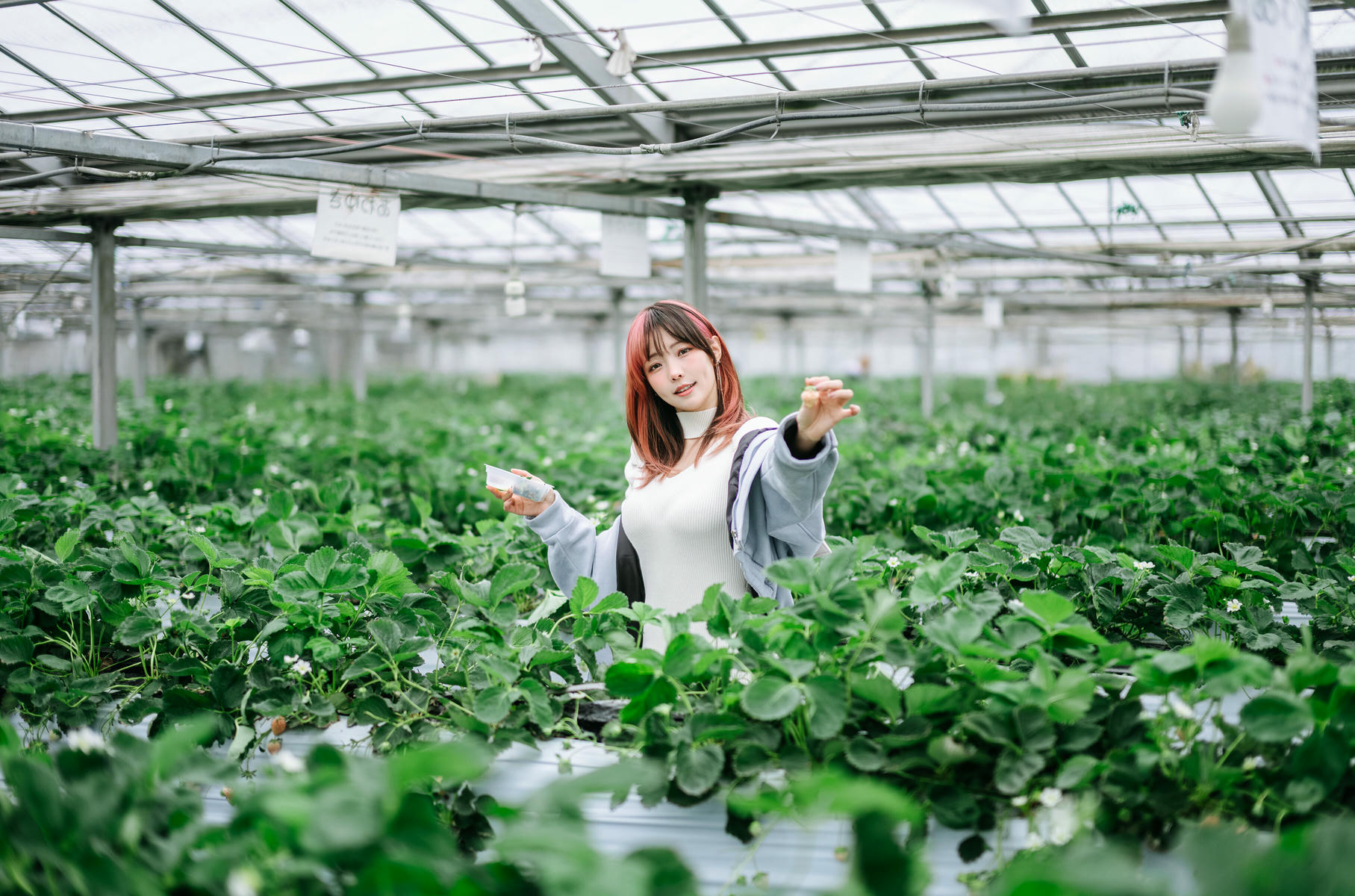 ElyEE子 NO.165 Strawberry Picking Date [34P2V 128MB]_第2集