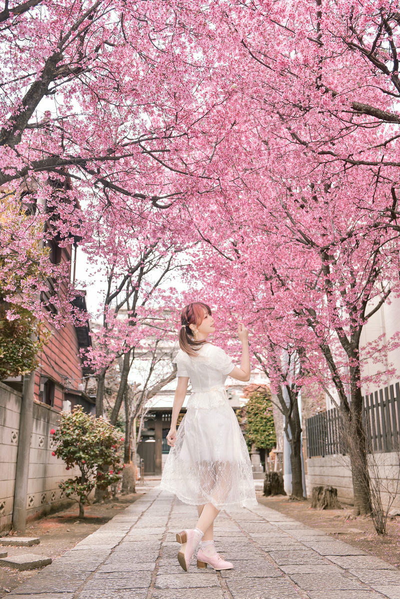 ElyEE子 NO.168 2025年04月订阅 (4套)[92P 9V 311.9M]-April Set A 2025 [25P 4V]_第1集