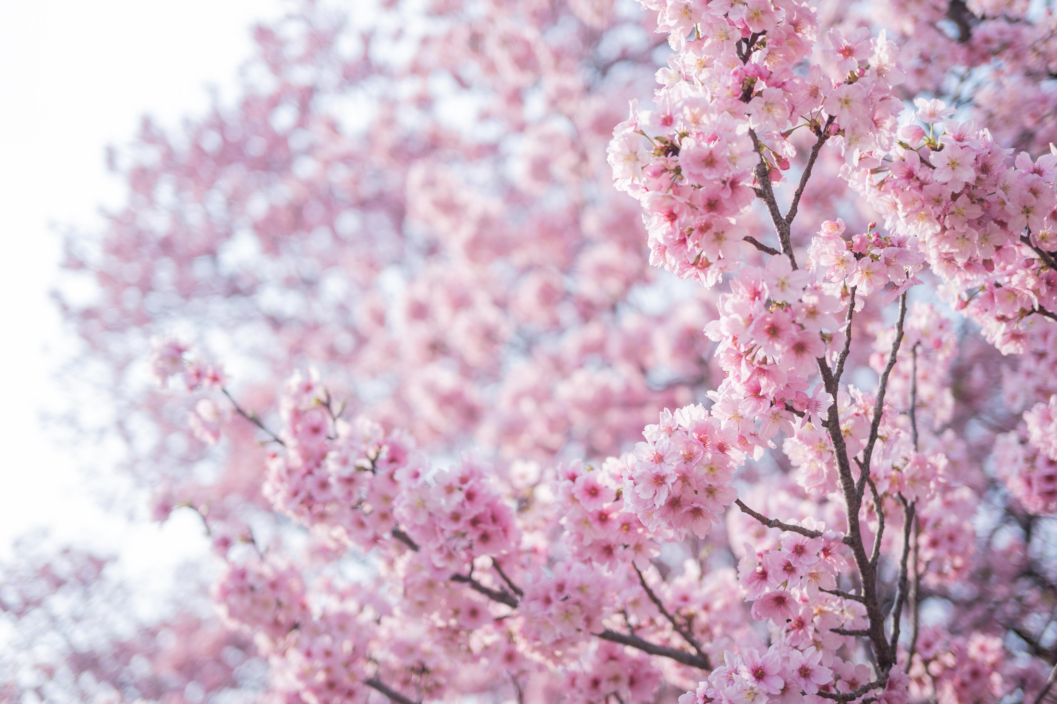 ElyEE子 NO.168 2025年04月订阅 (4套)[92P 9V 311.9M]-April Set B 2025 [30P 1V]_第2集