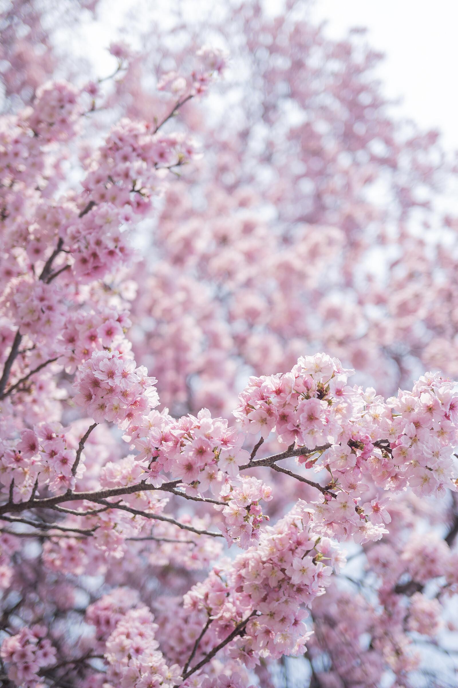 ElyEE子 NO.168 2025年04月订阅 (4套)[92P 9V 311.9M]-April Set B 2025 [30P 1V]_第2集