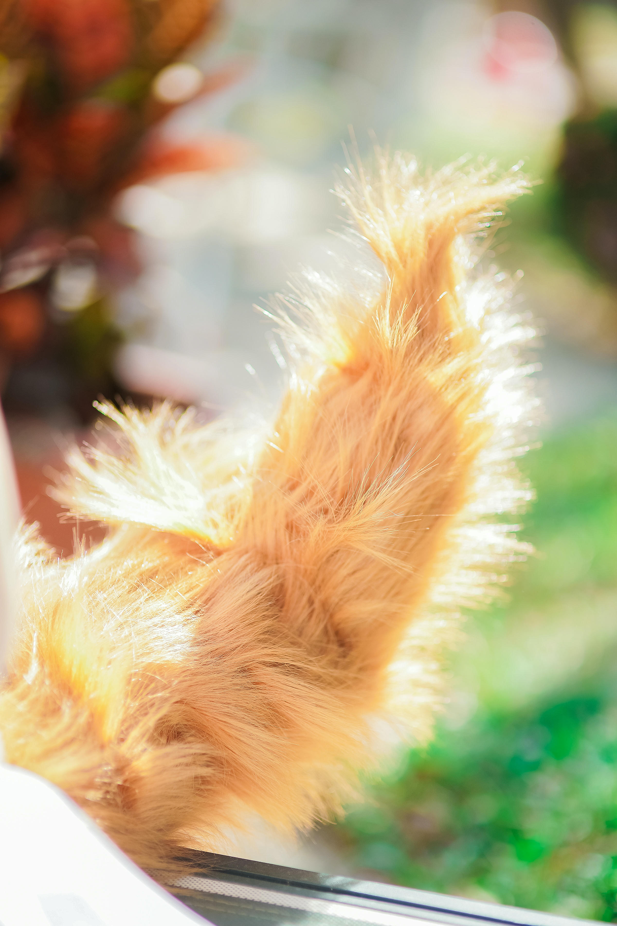 ElyEE子 NO.046 玉藻前-泳池 [39P 205.10 MB]_第1集